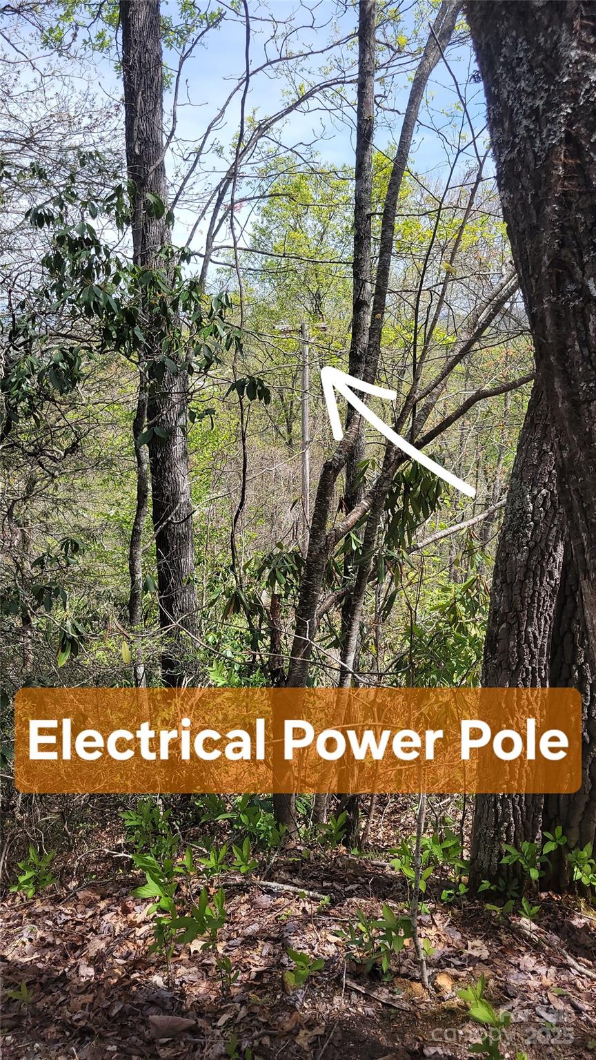 25 Lacy Fern Ridge 25 Property Photo 23