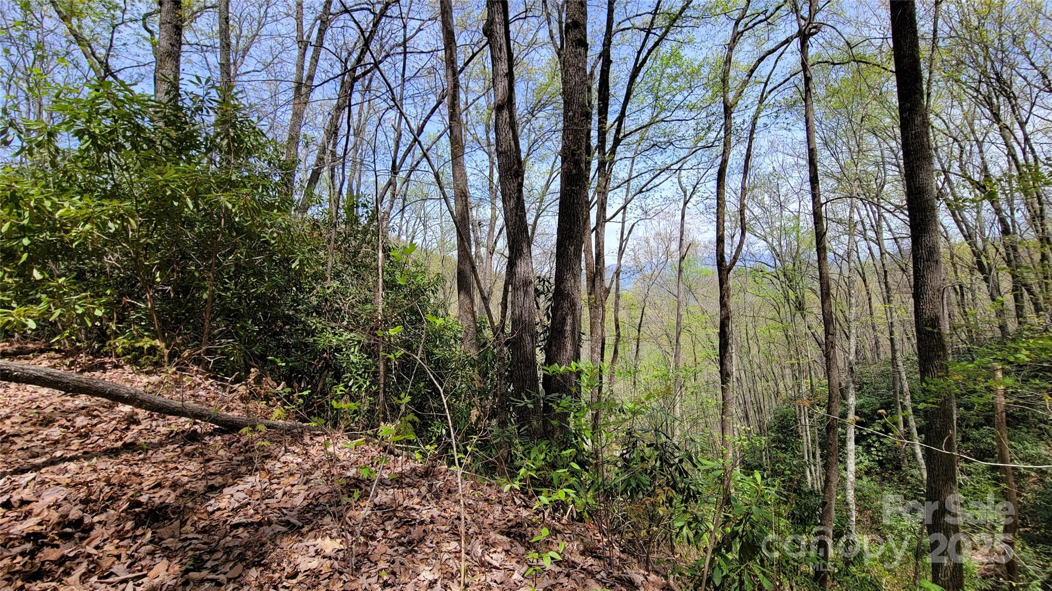 26 Lacy Fern Ridge 26 Property Photo 14