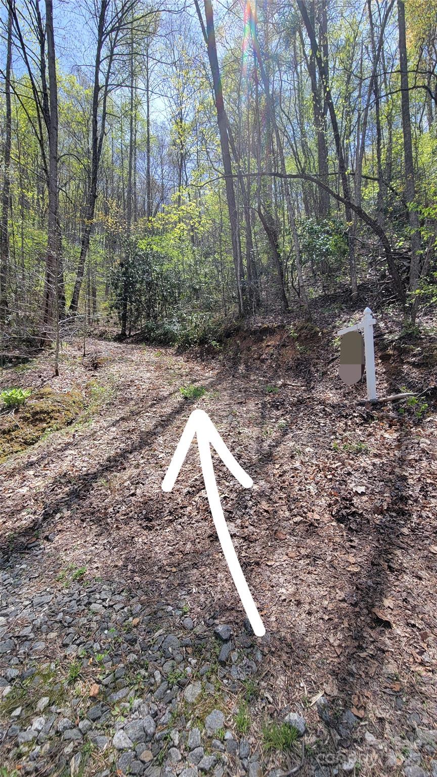 27 Lacy Fern Ridge 27 Property Photo 2