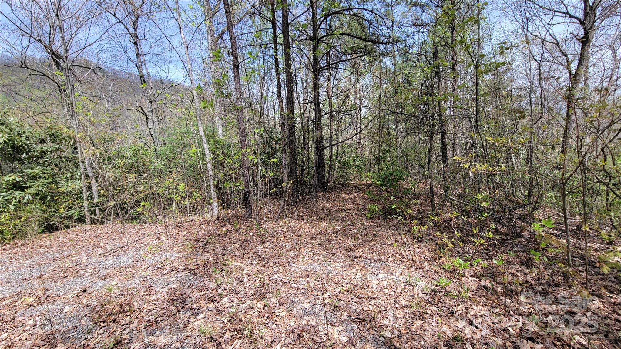 27 Lacy Fern Ridge 27 Property Photo 5