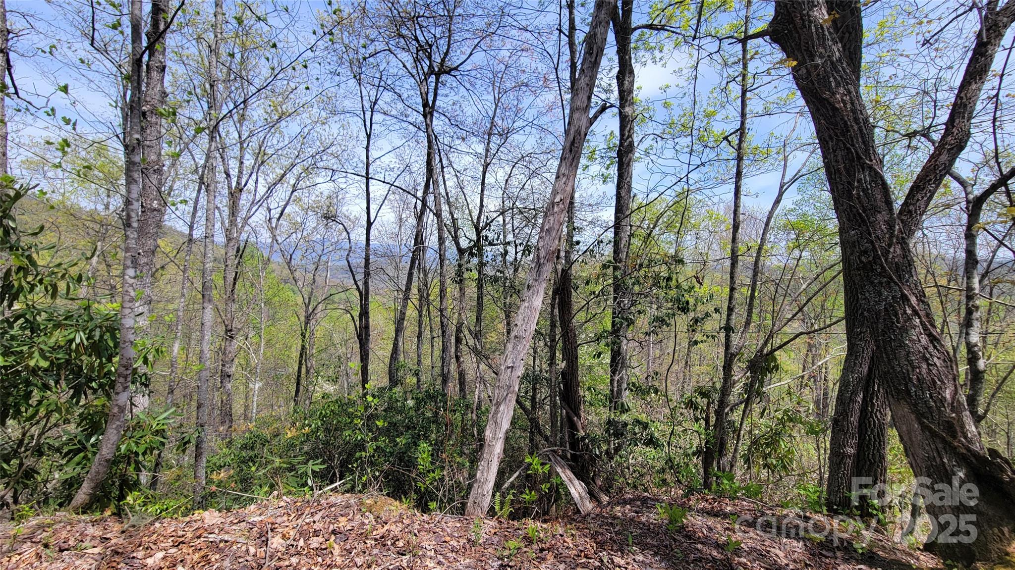 27 Lacy Fern Ridge 27 Property Photo 23