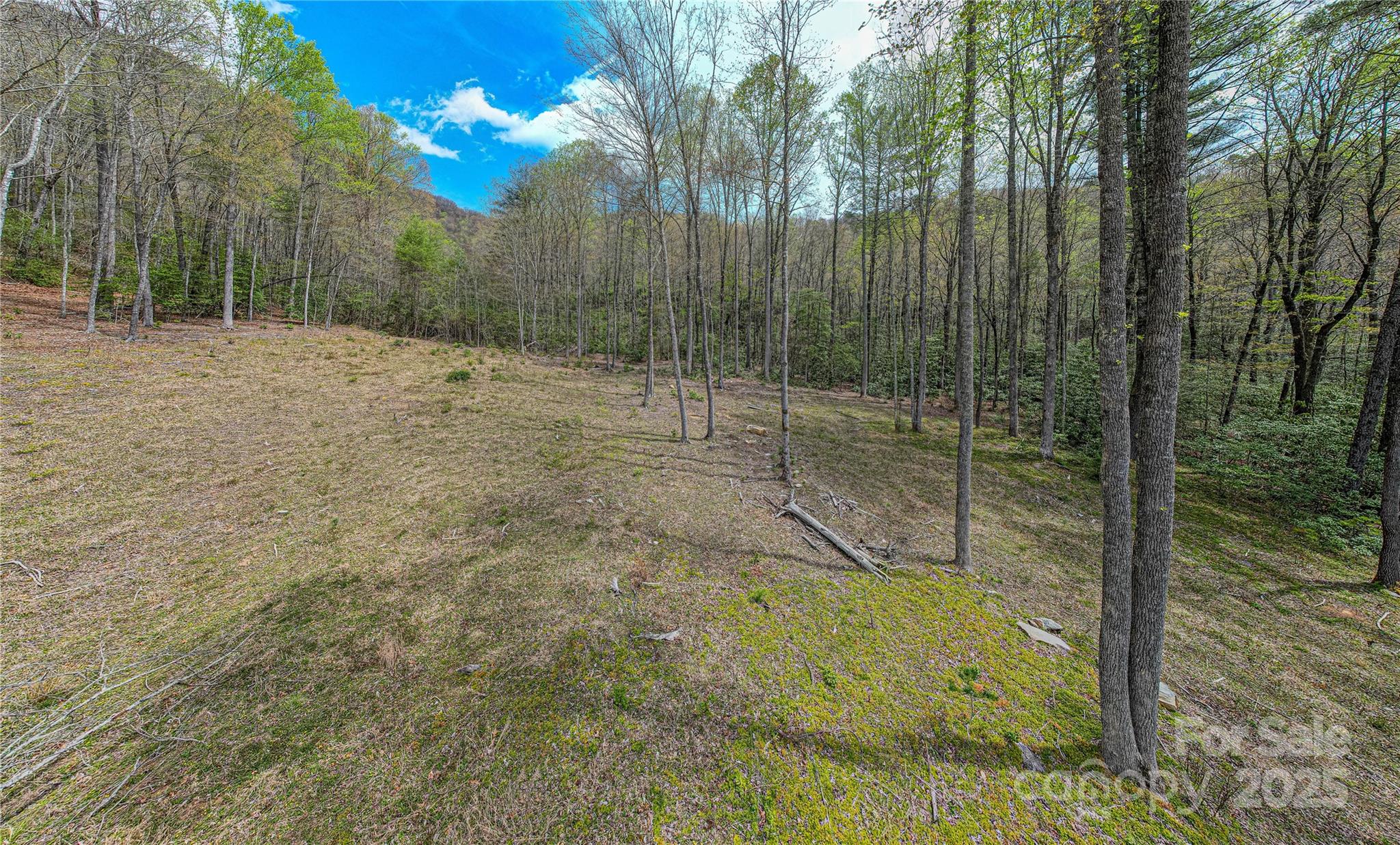 000 Rosman Highway Property Photo