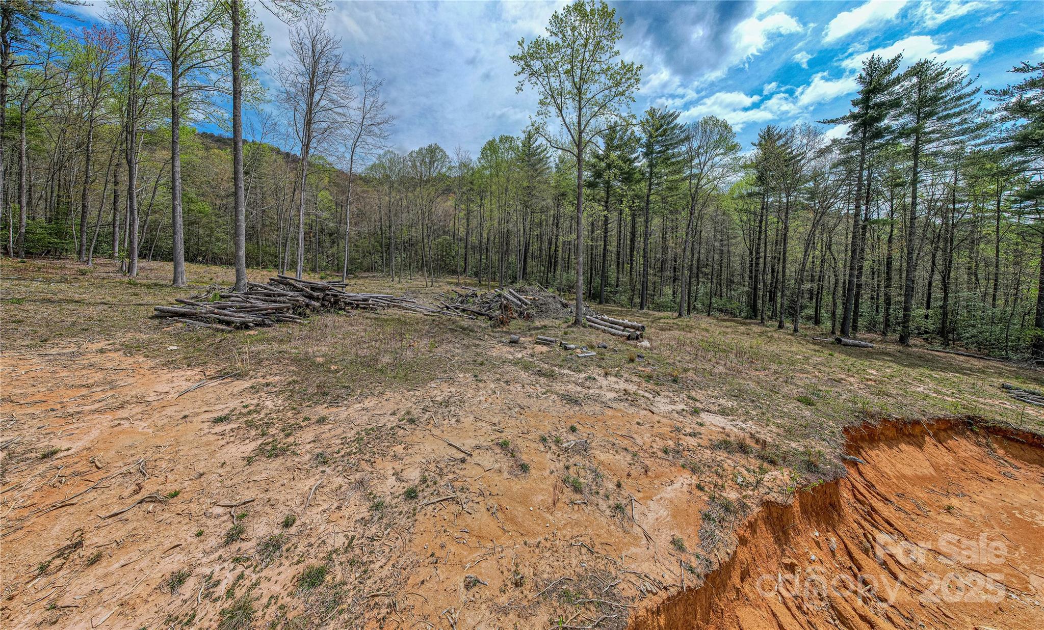 000 Rosman Highway Property Photo 3