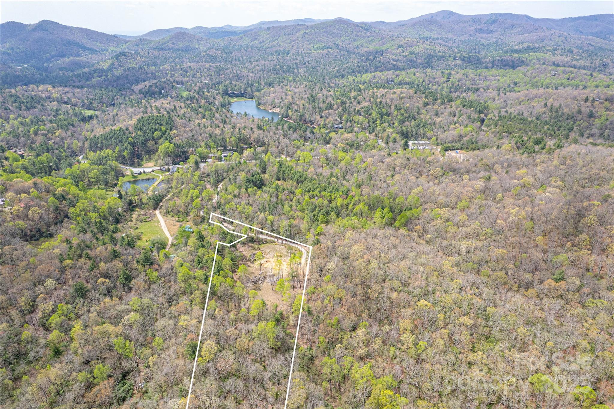 000 Rosman Highway Property Photo 9
