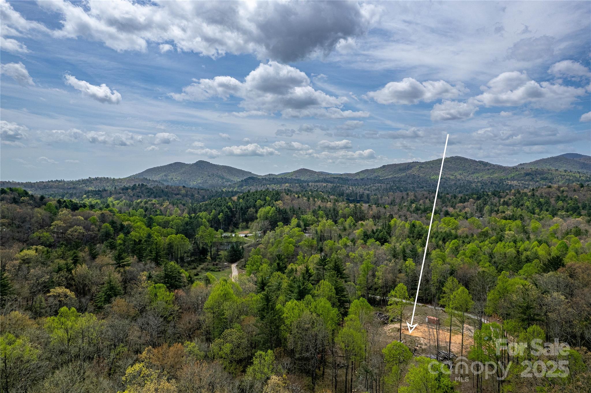 000 Rosman Highway Property Photo 15