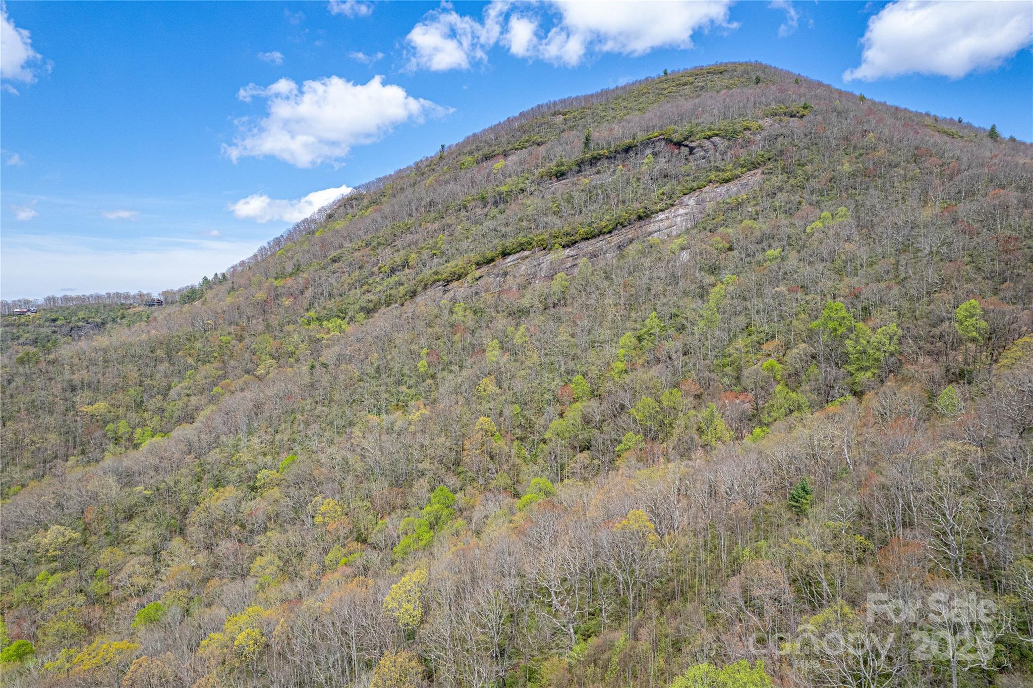 000 Rosman Highway Property Photo 17