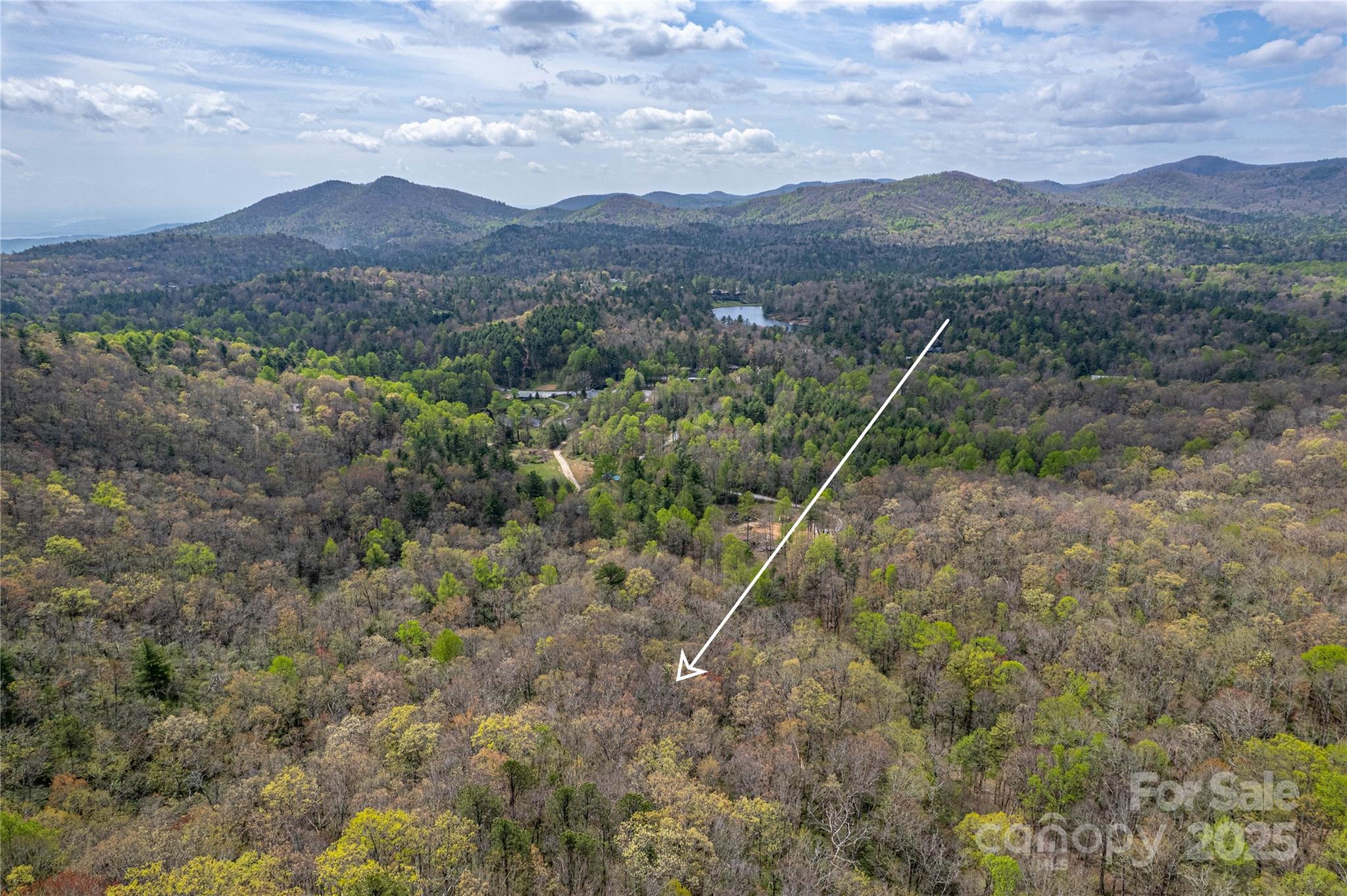 000 Rosman Highway Property Photo 18