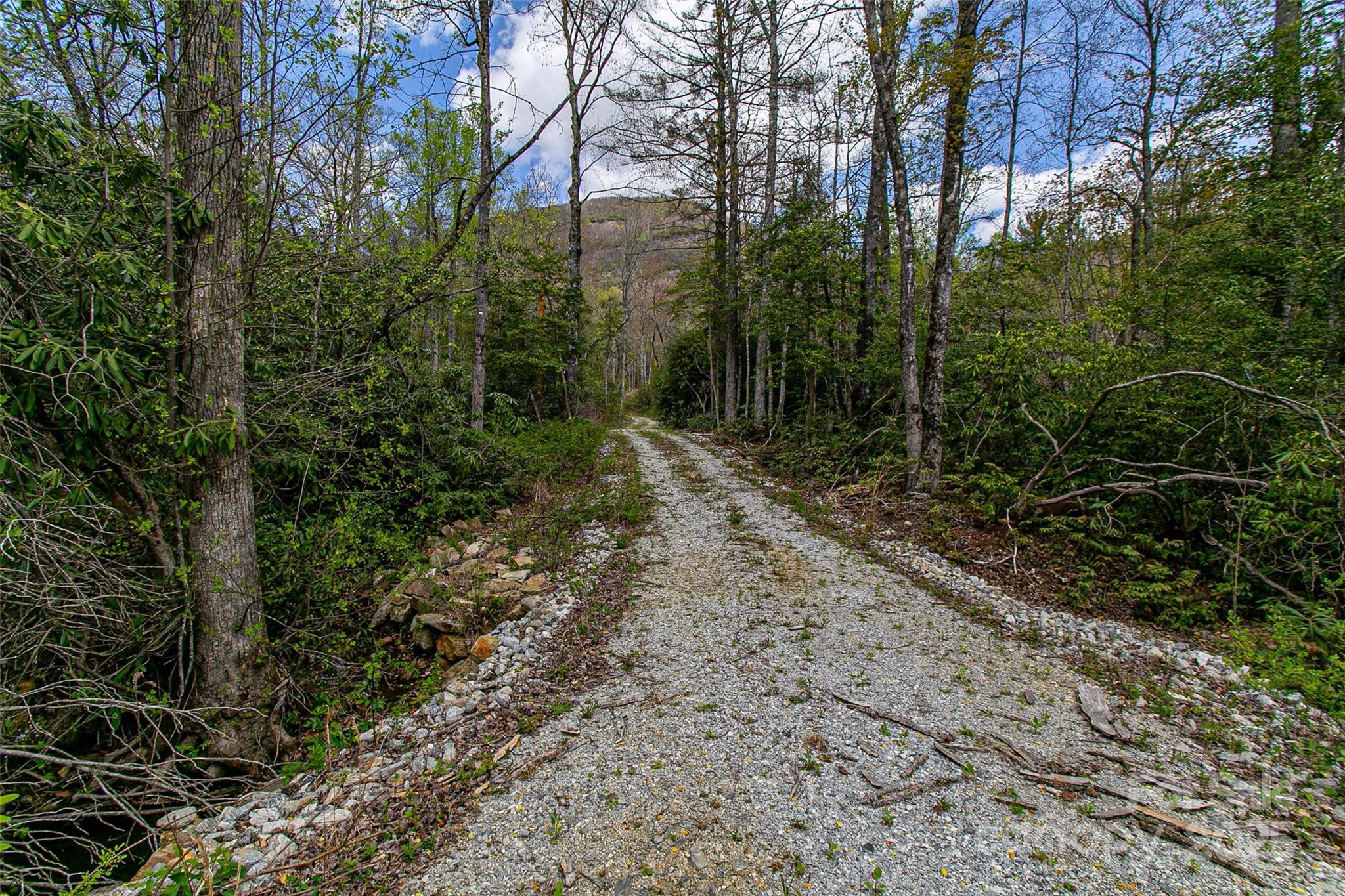 000 Rosman Highway Property Photo 19
