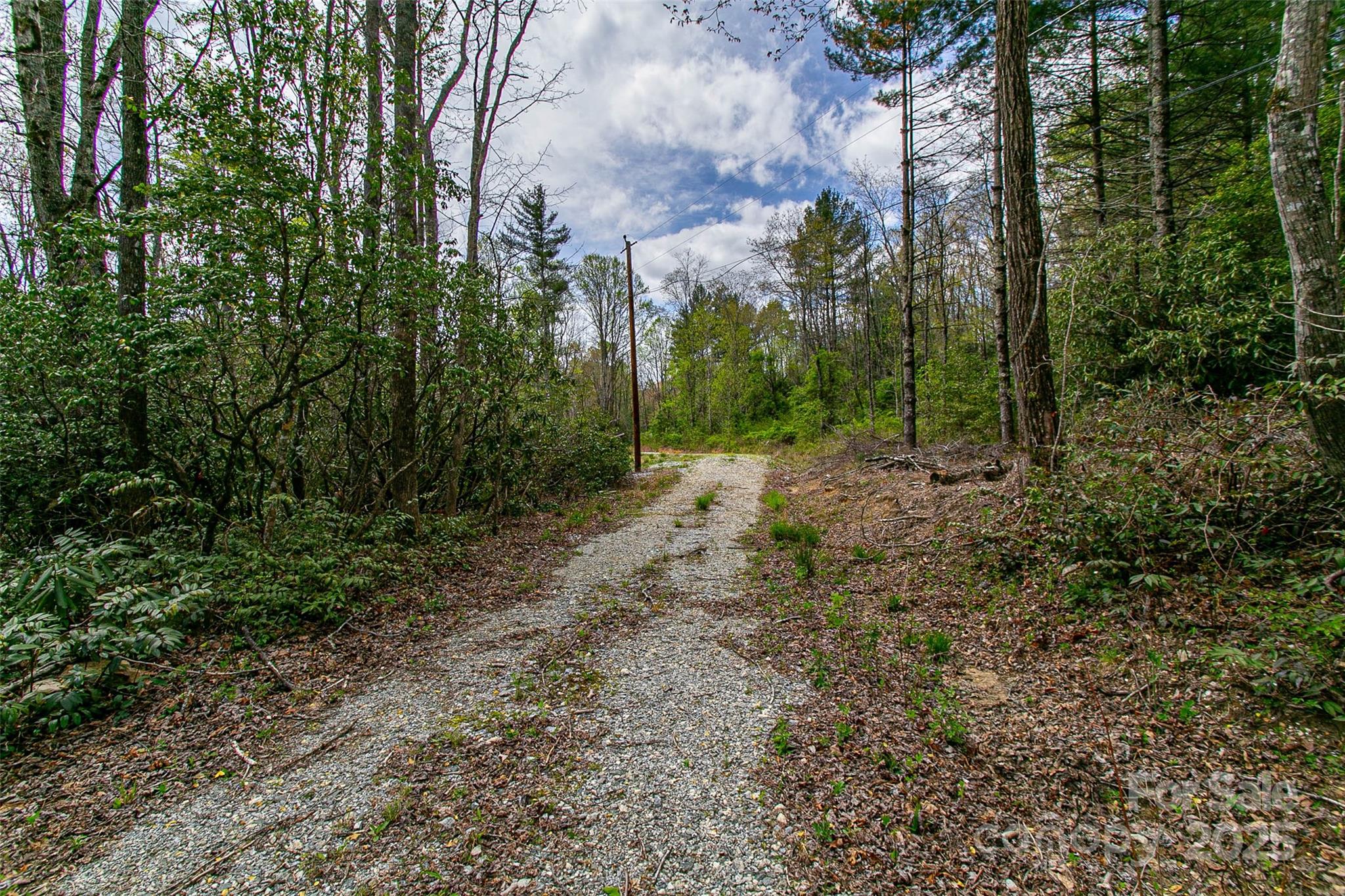 000 Rosman Highway Property Photo 21
