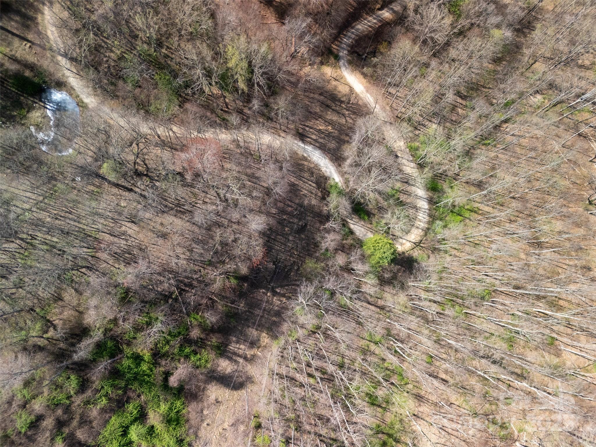 40 Acres Charity Lane Property Photo 2