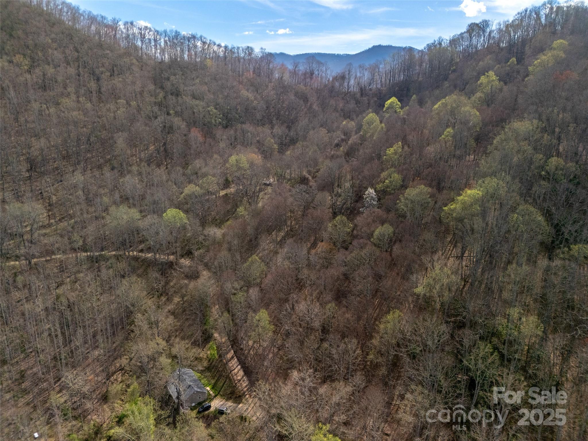 40 Acres Charity Lane Property Photo 5