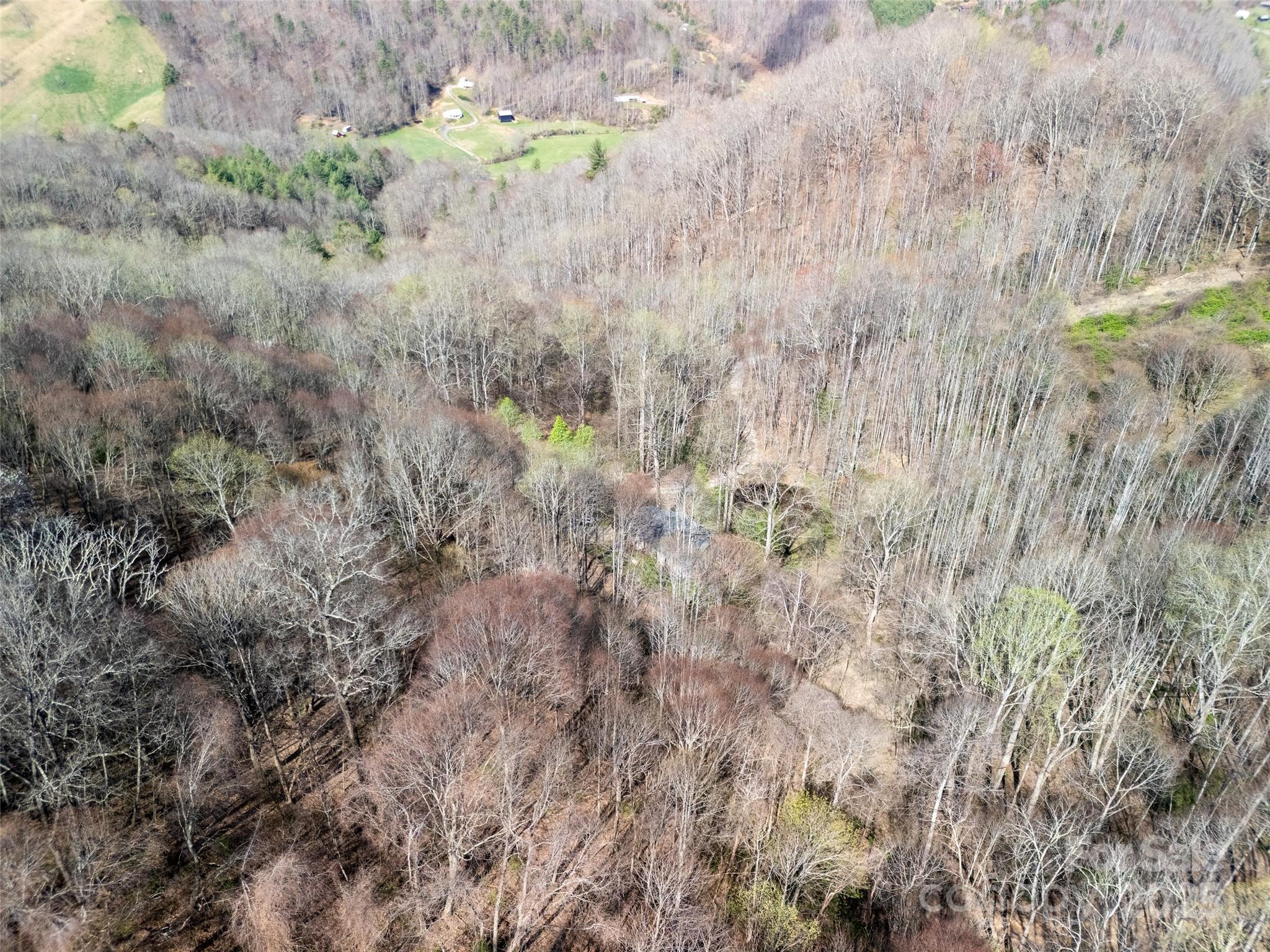 40 Acres Charity Lane Property Photo 6