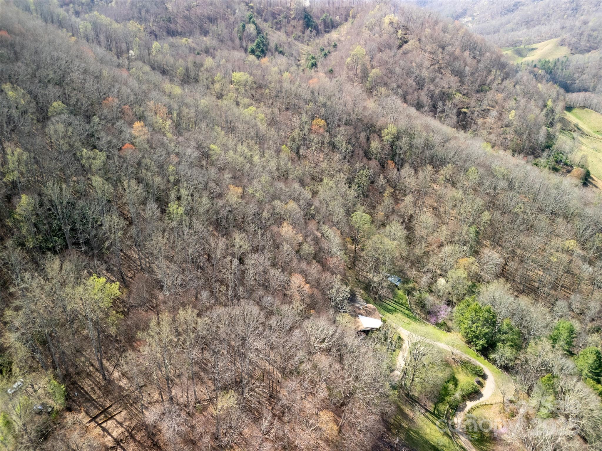 40 Acres Charity Lane Property Photo 13