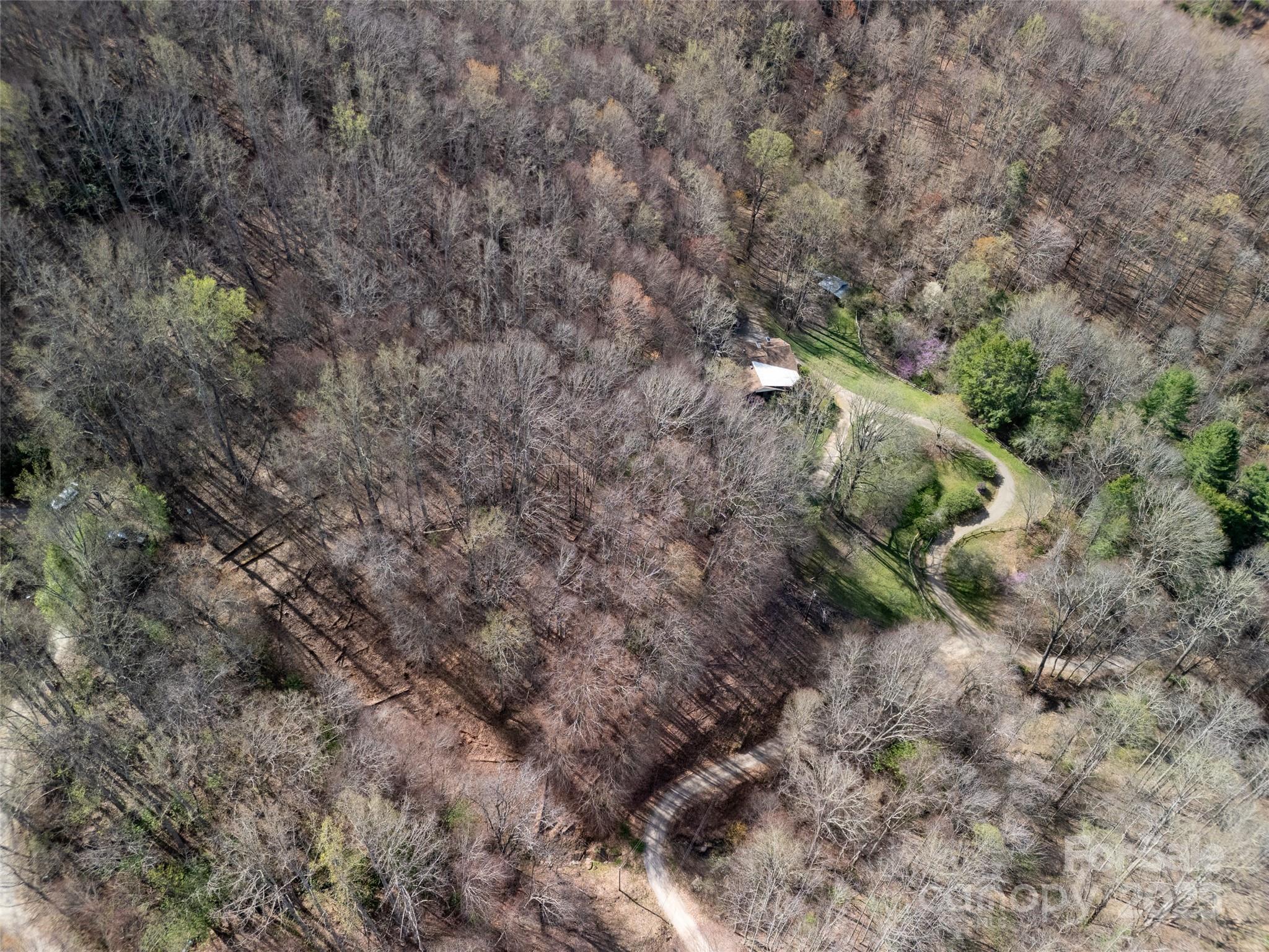 40 Acres Charity Lane Property Photo 14