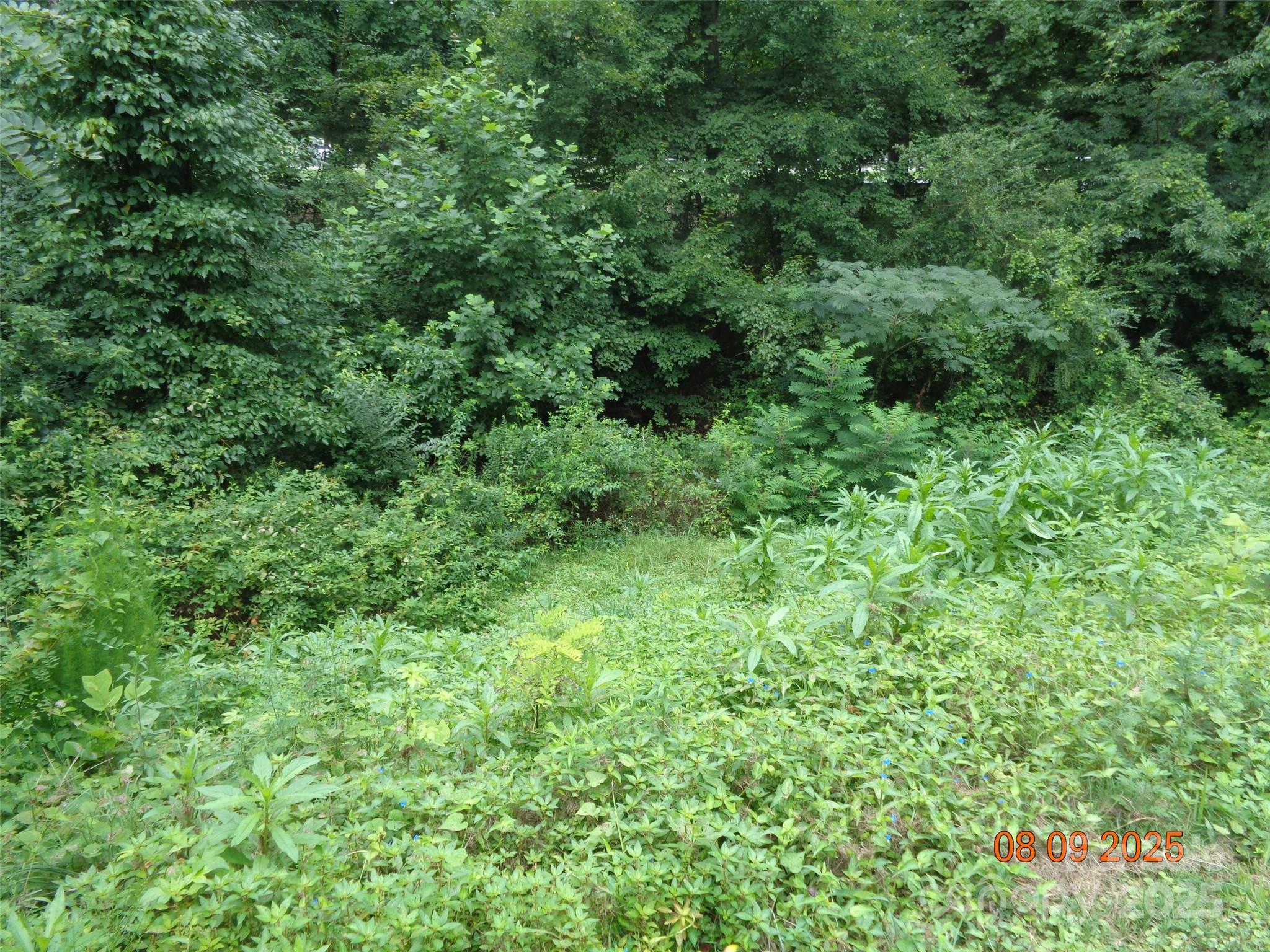 53 Forest Avenue Property Photo 32