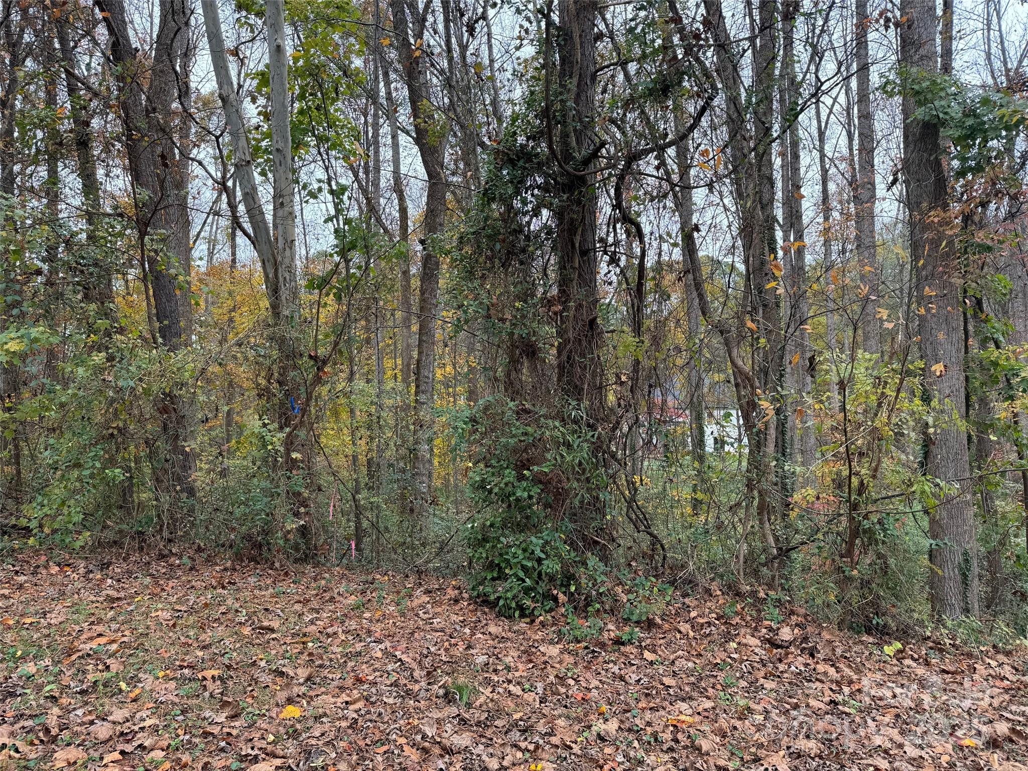 Tbd Cardinal Loop 9,10,11 Property Photo 2