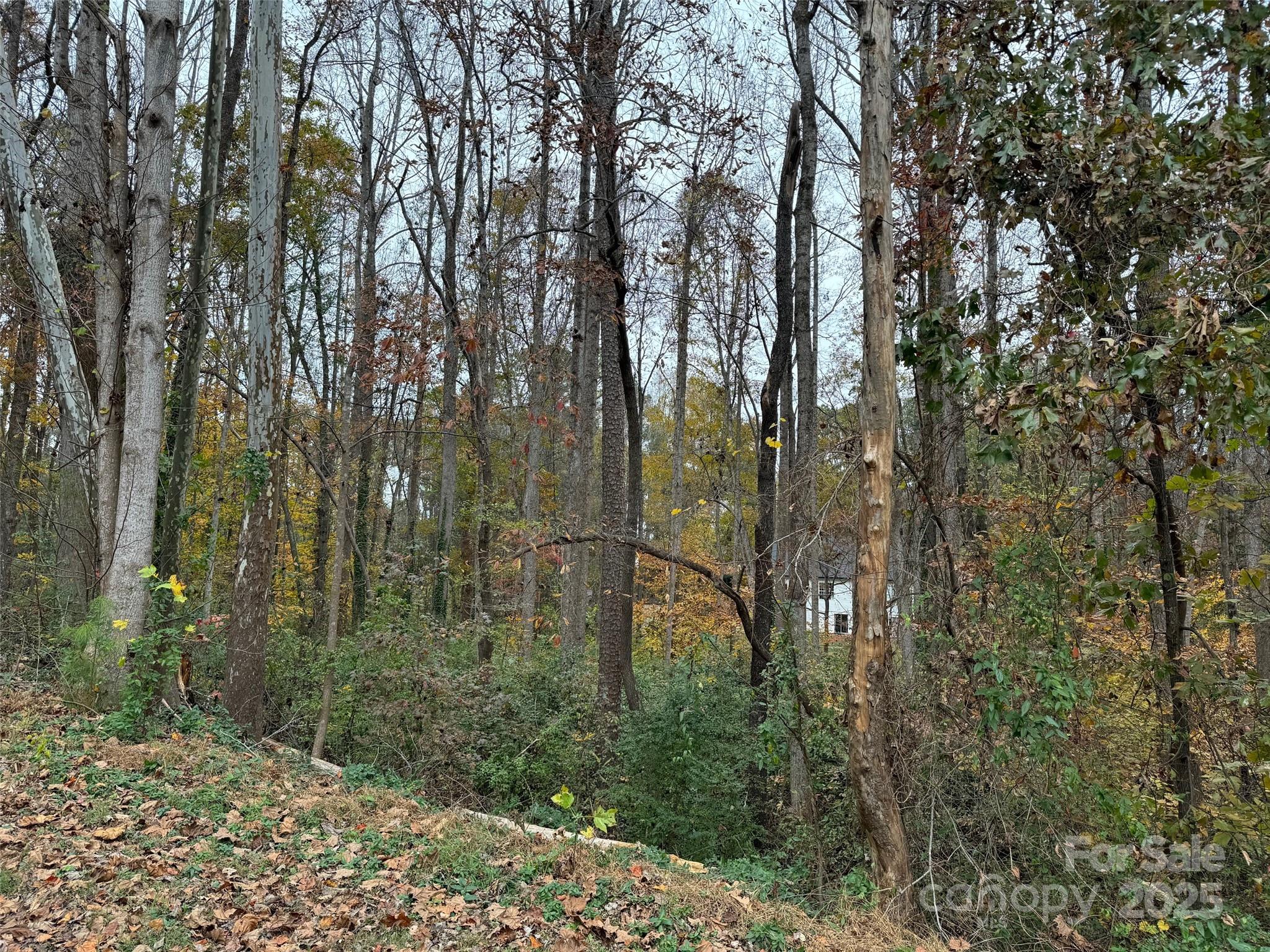 Tbd Cardinal Loop 9,10,11 Property Photo 3