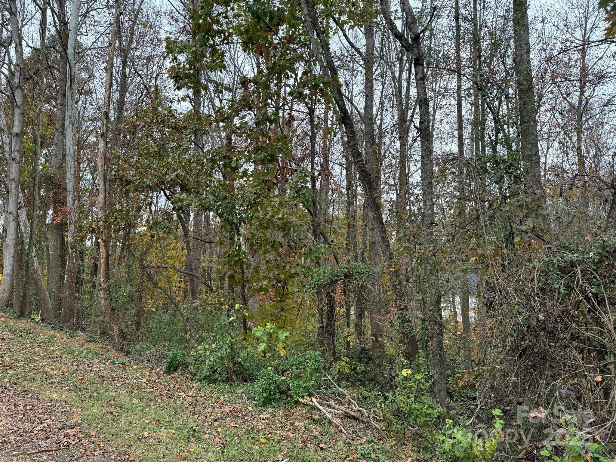 Tbd Cardinal Loop 9,10,11 Property Photo 4