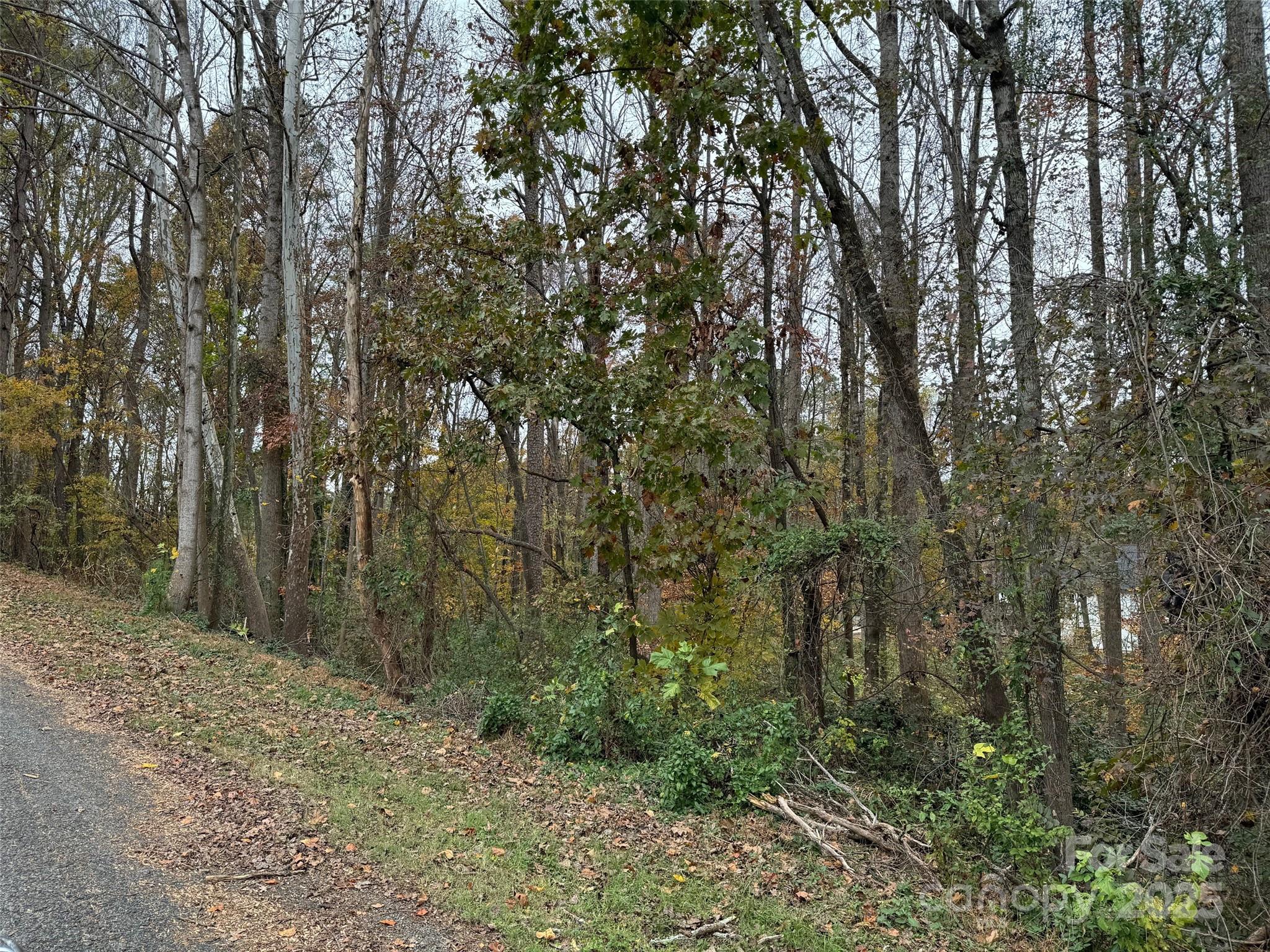 Tbd Cardinal Loop 9,10,11 Property Photo 5