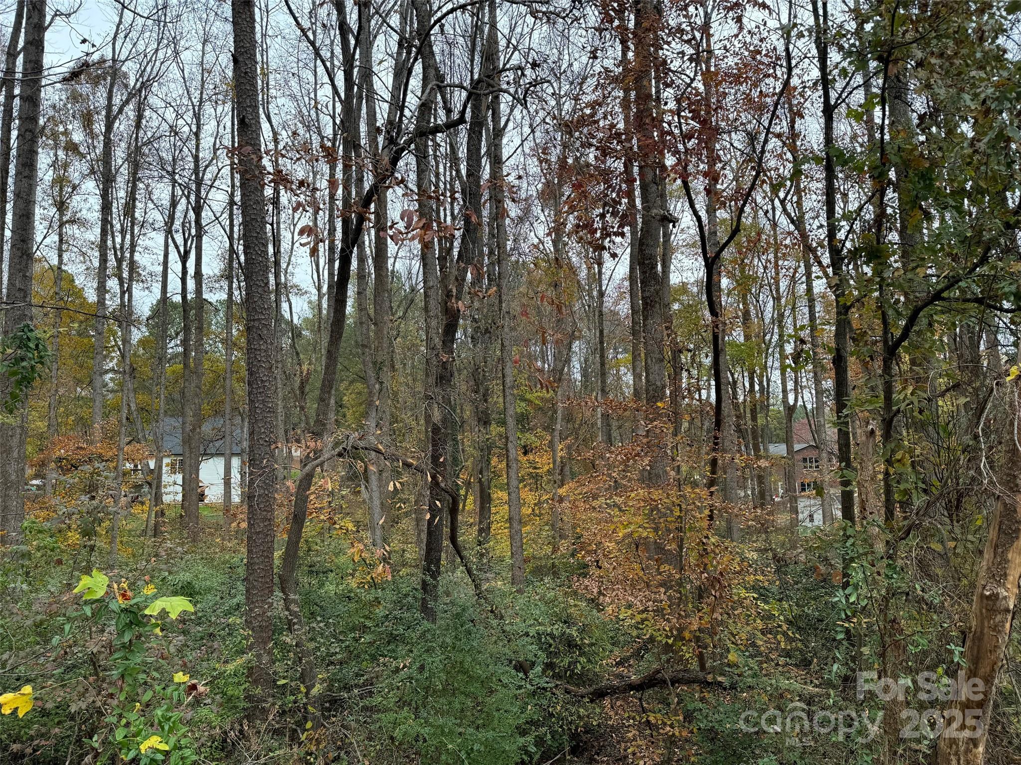 Tbd Cardinal Loop 9,10,11 Property Photo 8