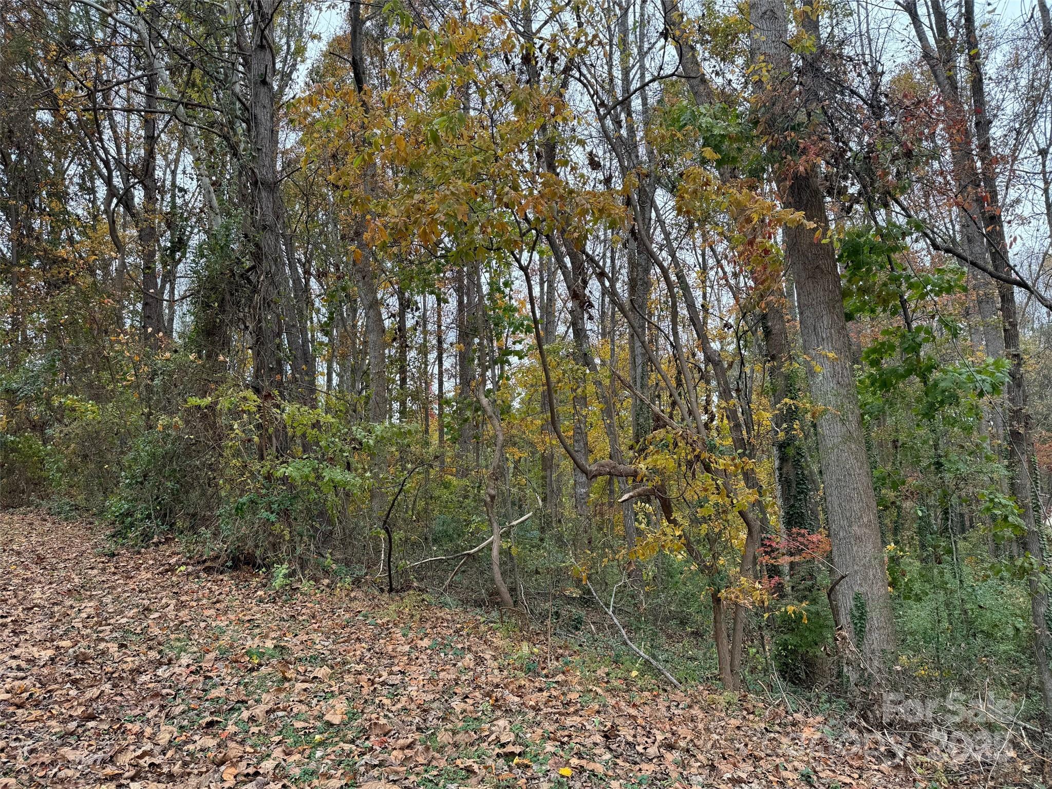 Tbd Cardinal Loop 9,10,11 Property Photo 9