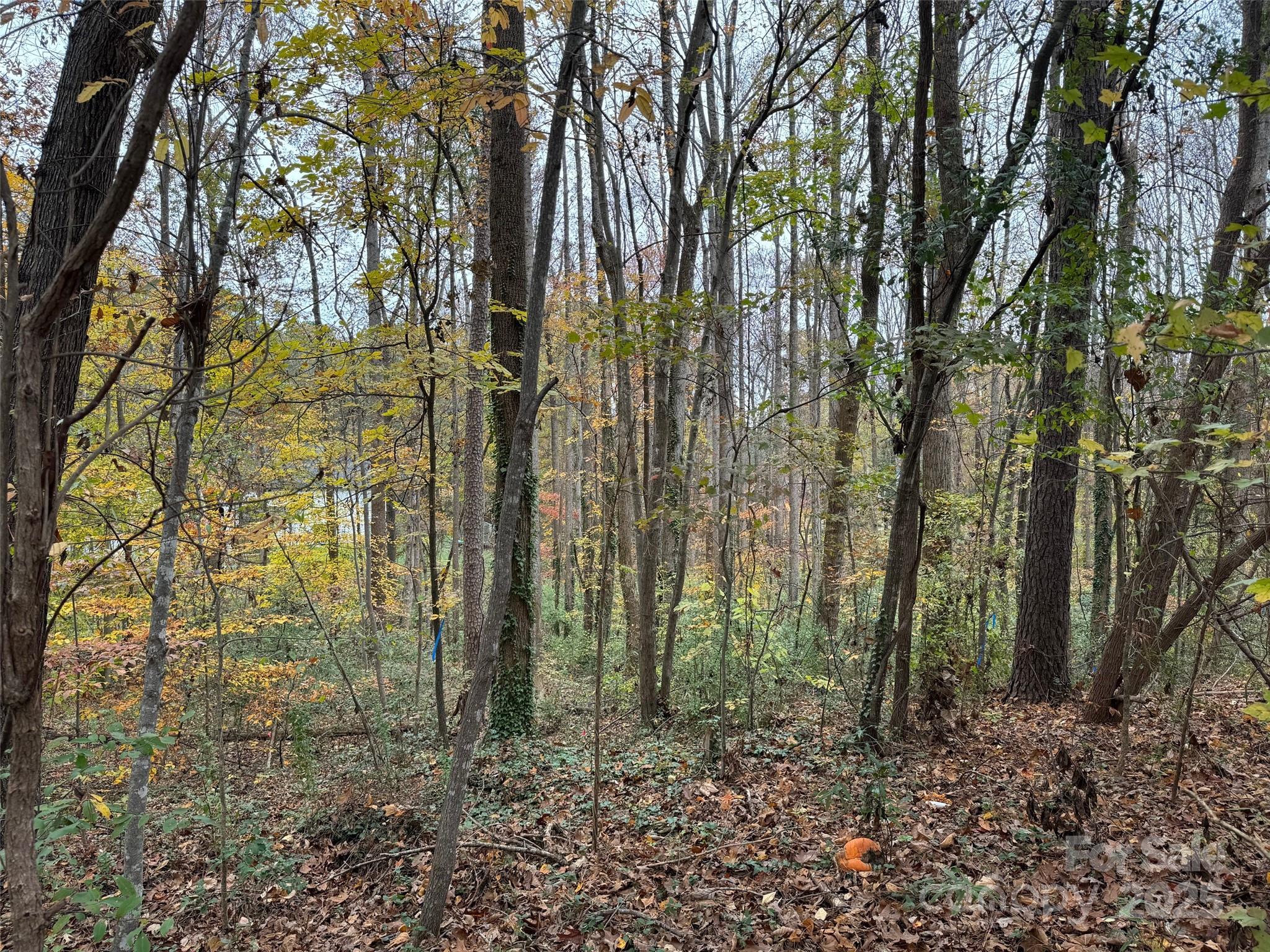 Tbd Cardinal Loop 9,10,11 Property Photo 10