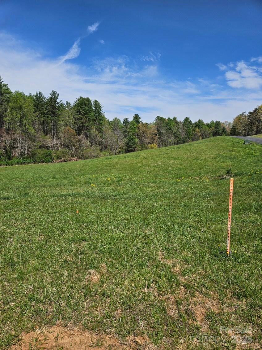 9999 Gabriels Creek Road Property Photo 4