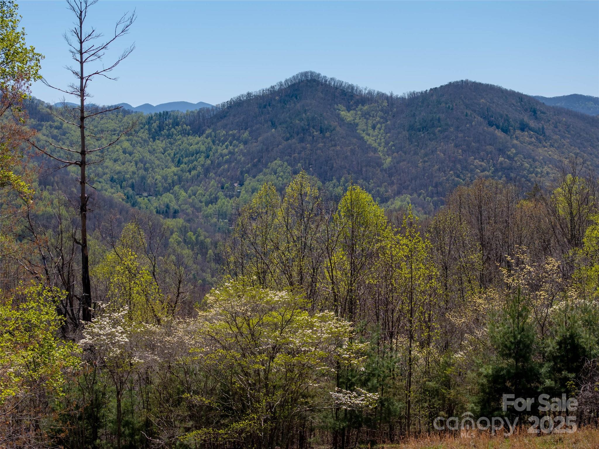 318 Brown Mountain Drive Property Photo