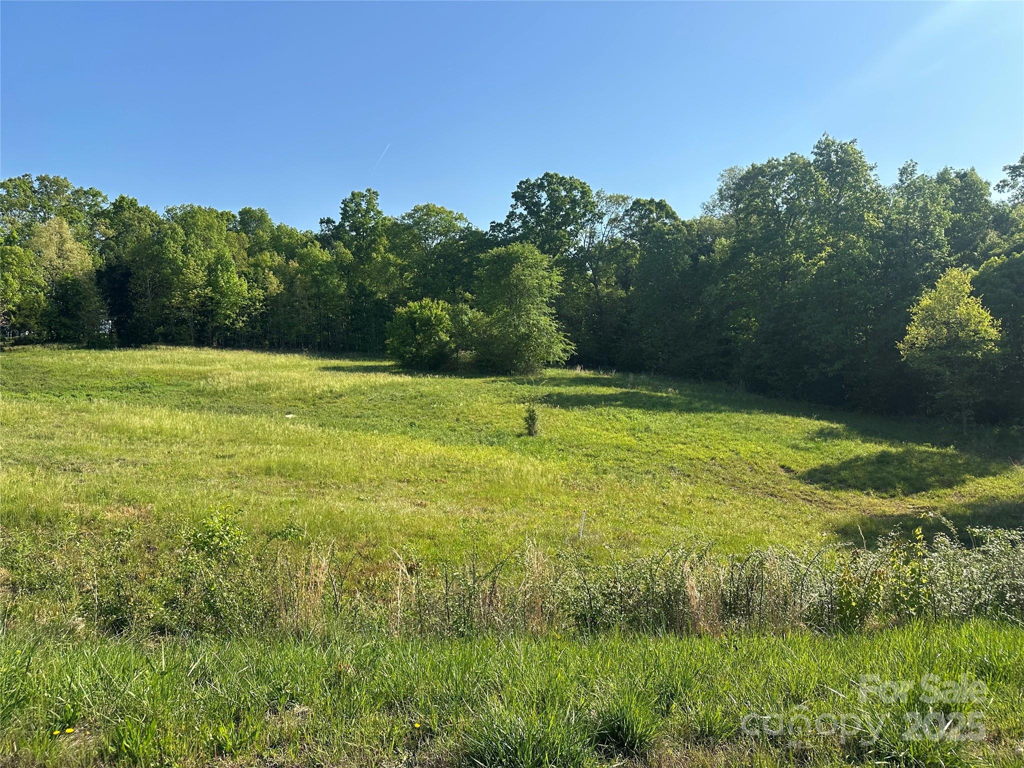 00 Gourdvine Drive Property Photo 2