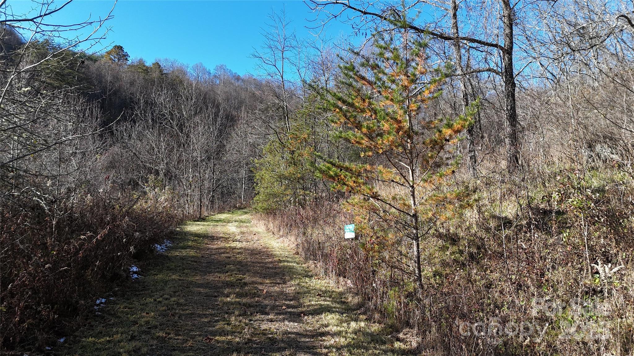 26 Hawthorne Draw Trail Property Photo 2