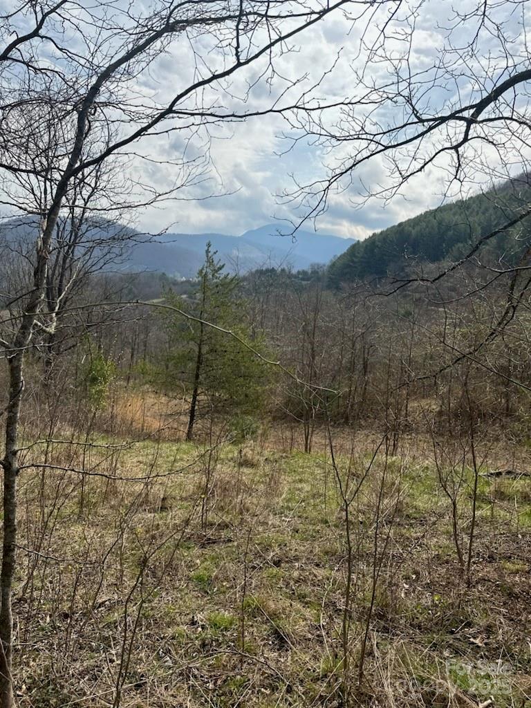 26 Hawthorne Draw Trail Property Photo 3