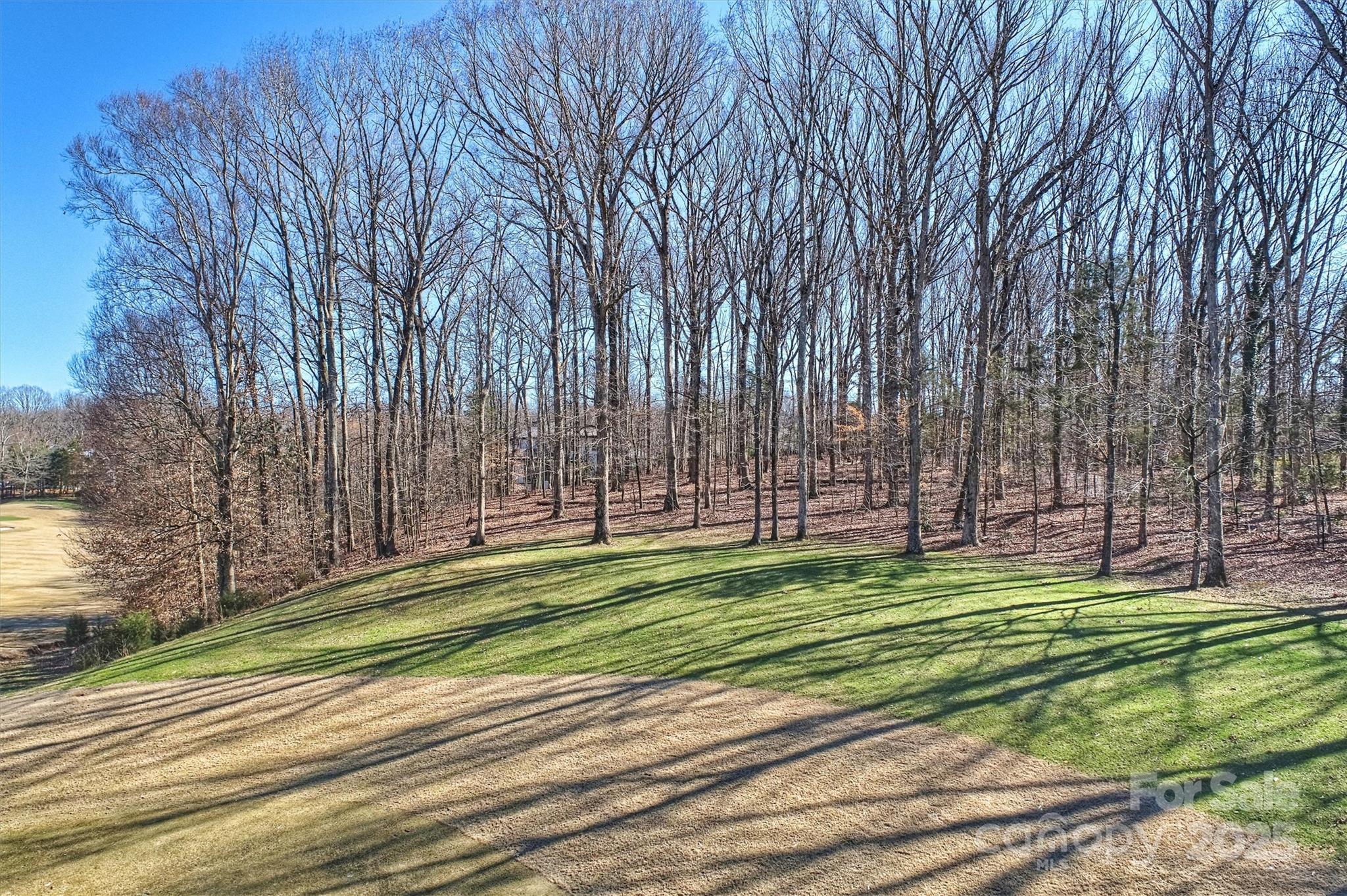 8716 Ruby Hill Court Property Photo 18