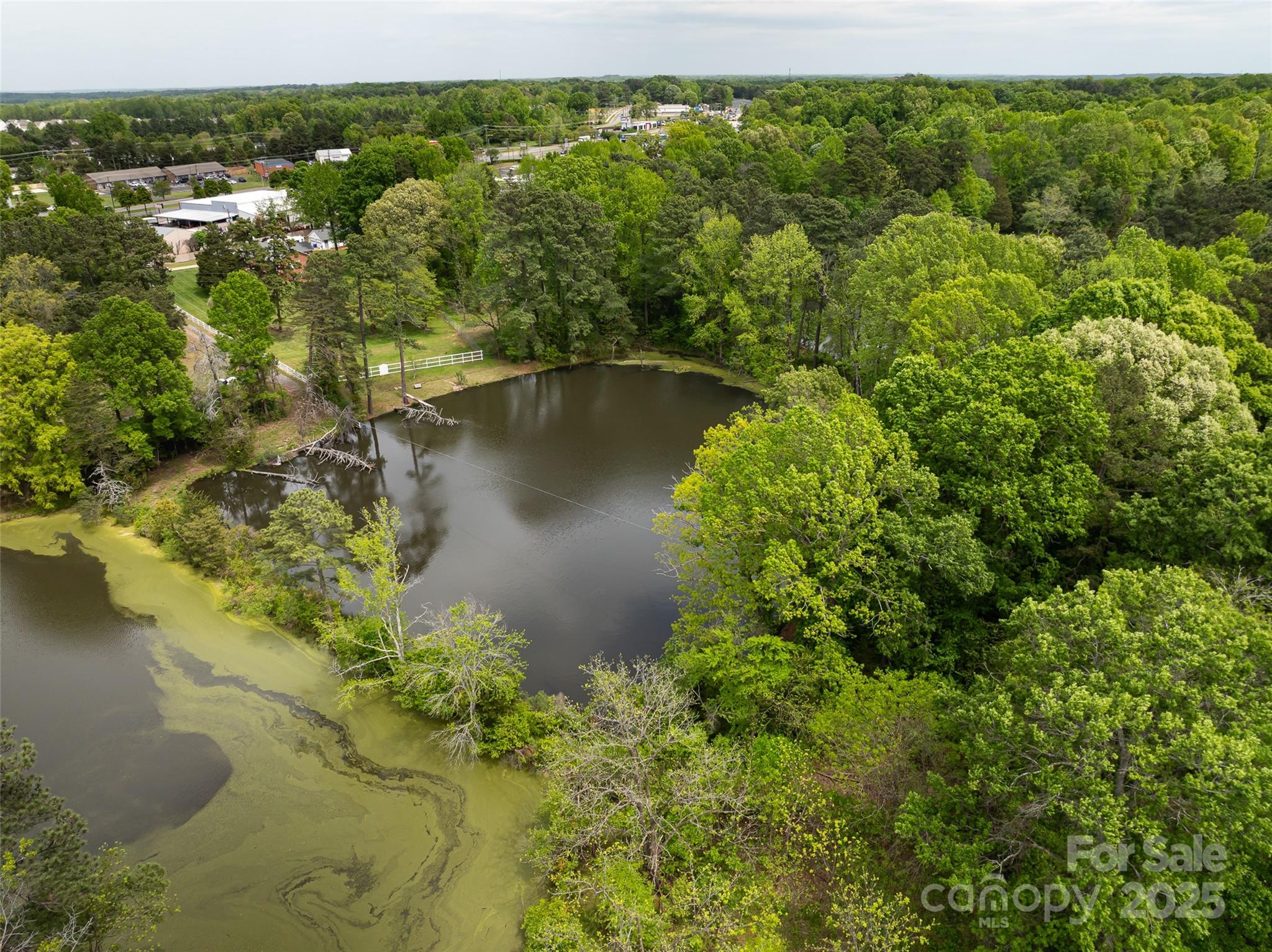 9836 Albemarle Road Property Photo 11