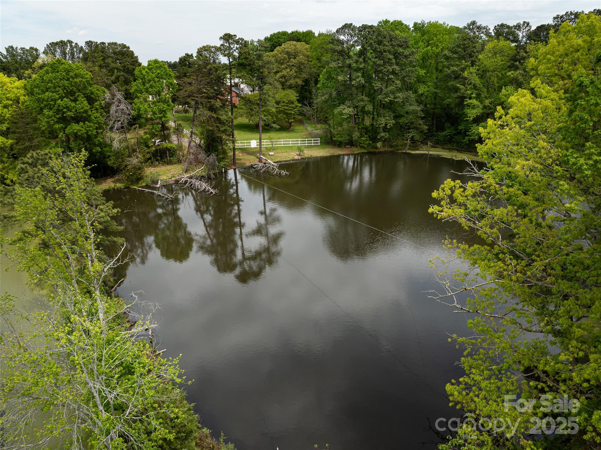 9836 Albemarle Road Property Photo 12