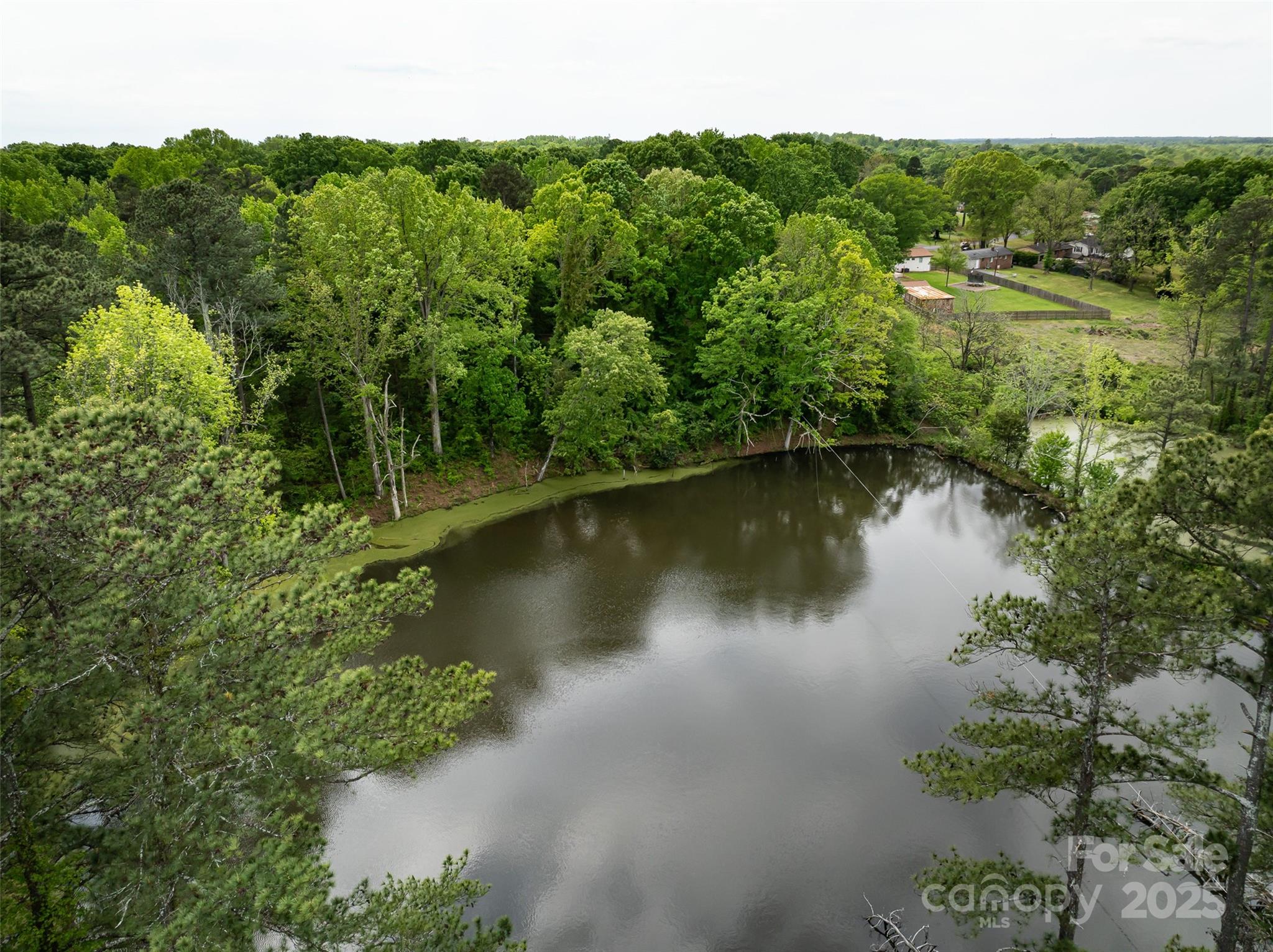 9836 Albemarle Road Property Photo 13