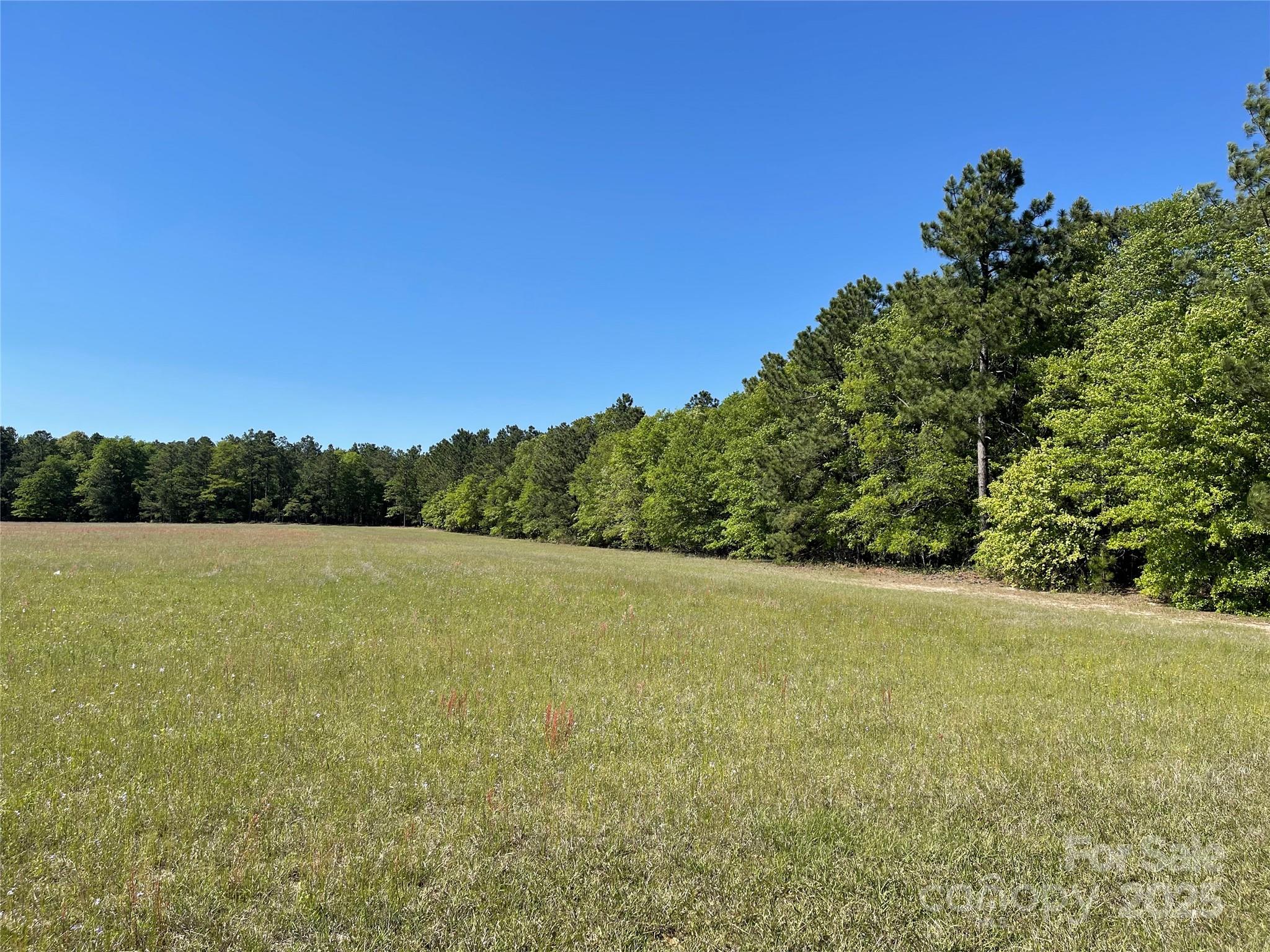 Tbd Pageland White Store Road C Property Photo