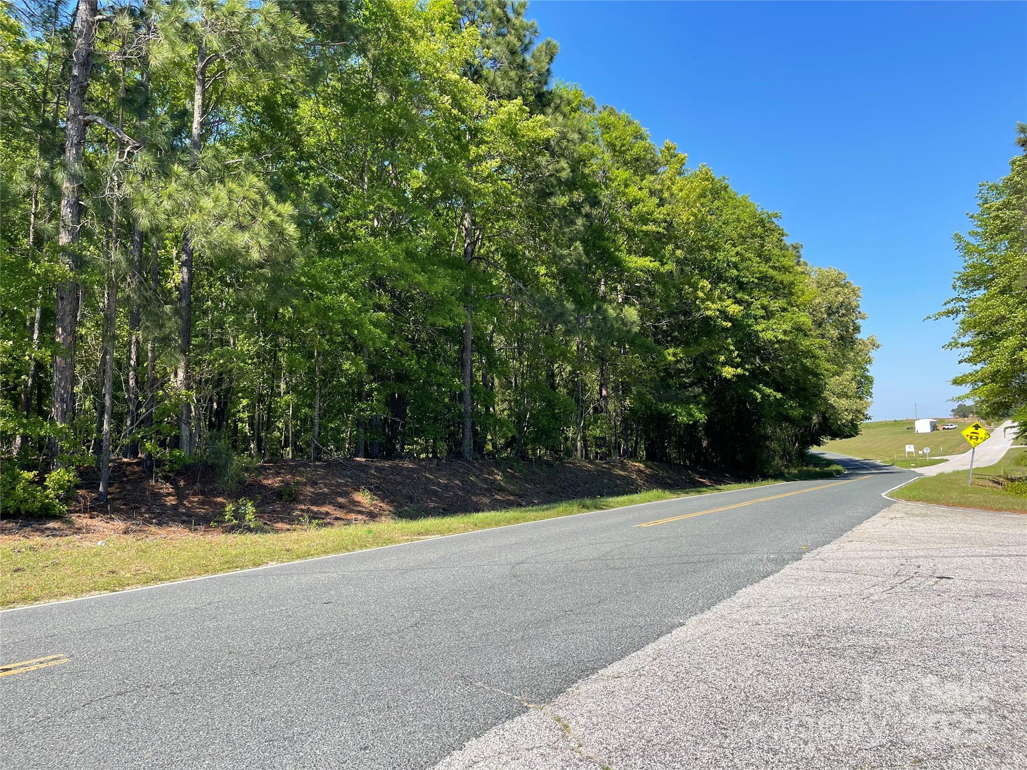 Tbd Pageland White Store Road D Property Photo