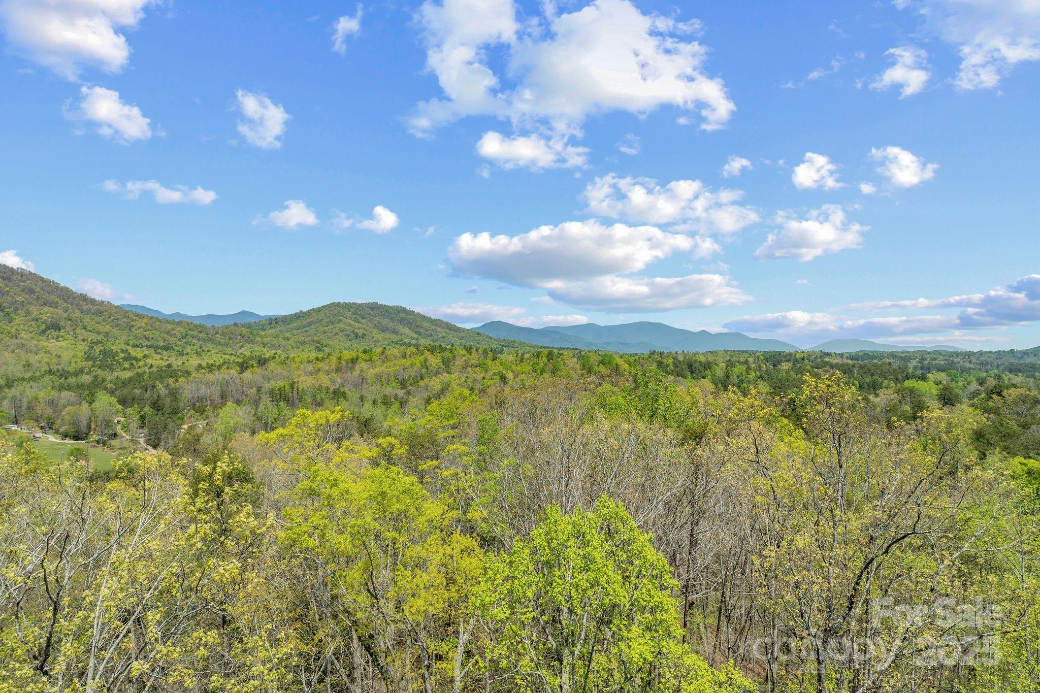 2517 Pine Cove Road Property Photo 4