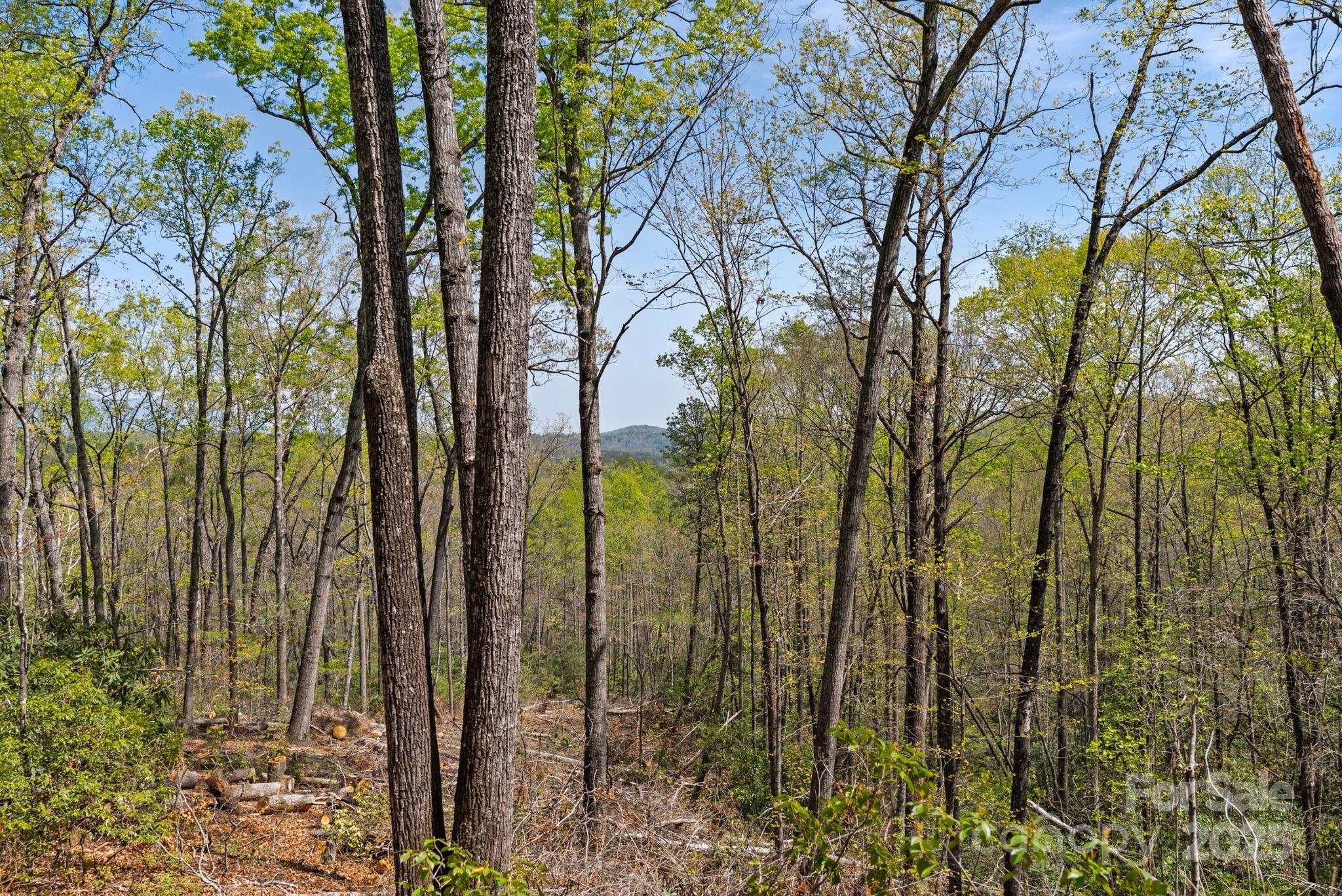 2517 Pine Cove Road Property Photo 42