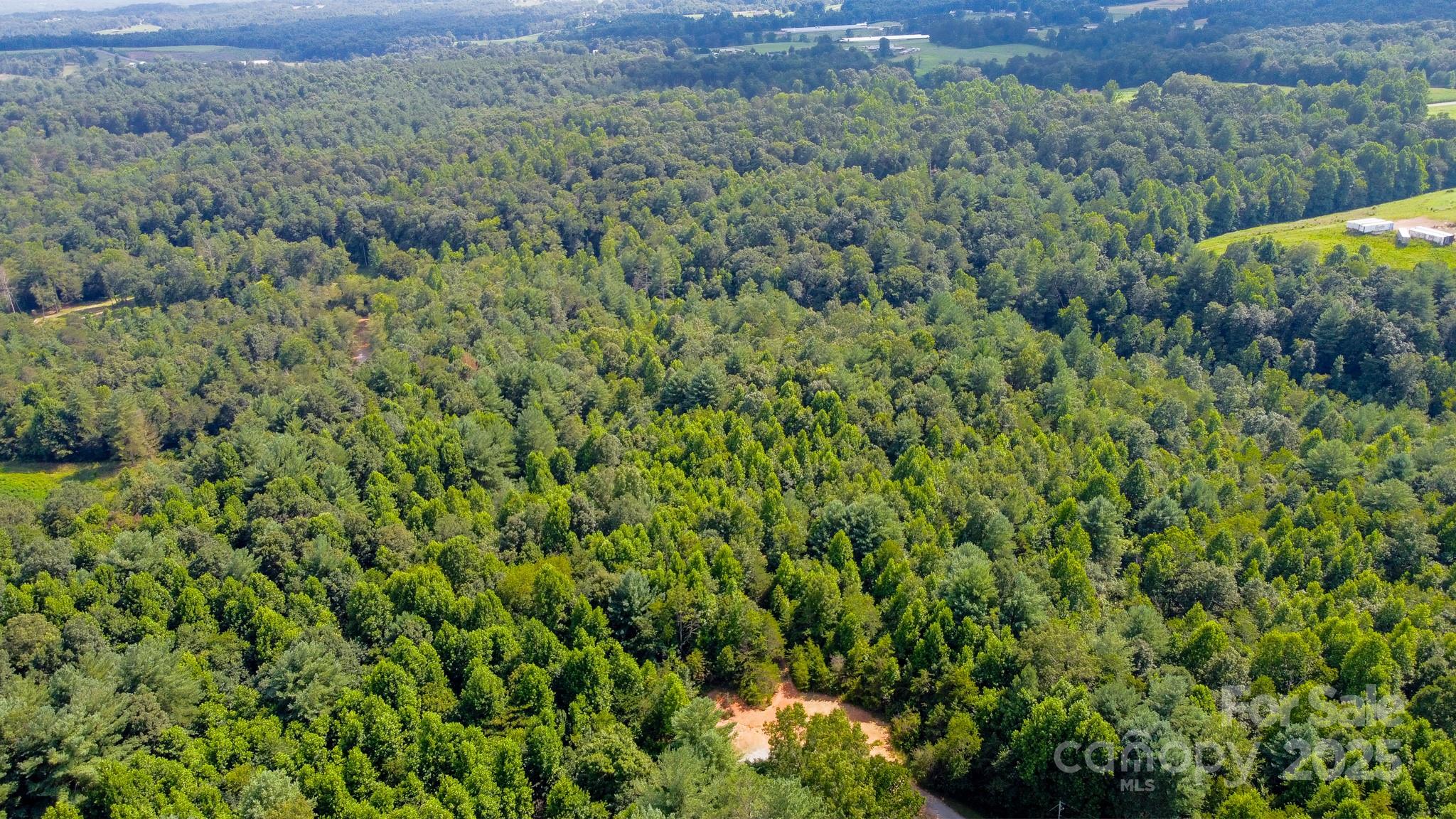 0000 Hunters Ridge Road Property Photo 7