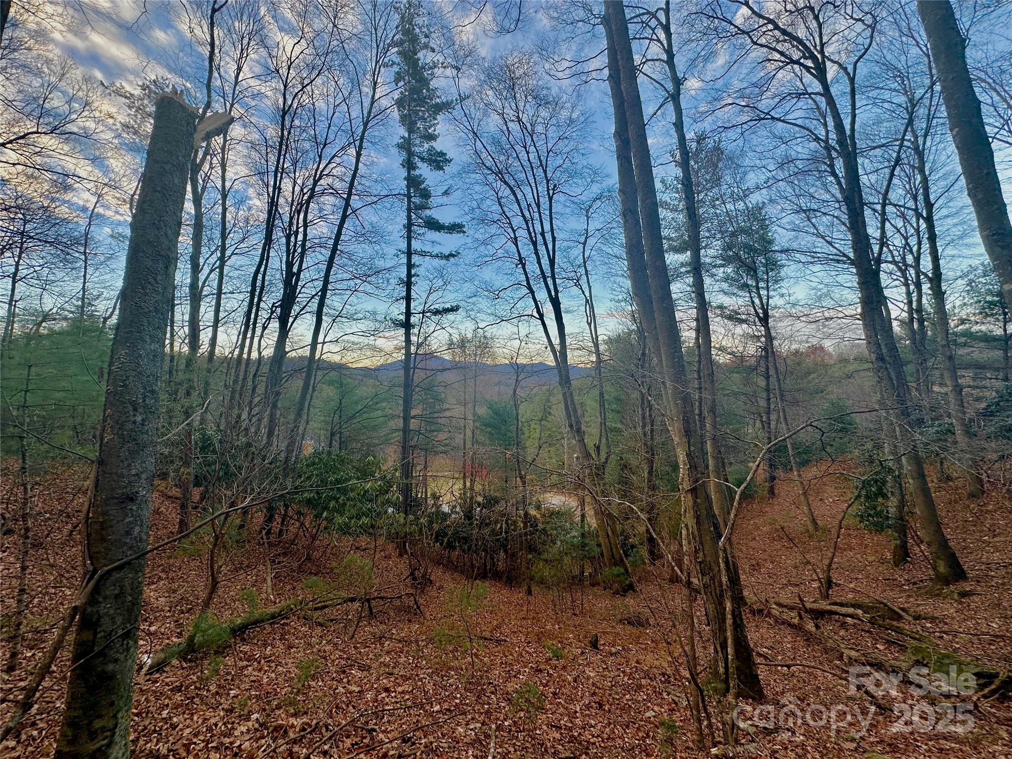 Tbd Bare Hollow Road Property Photo