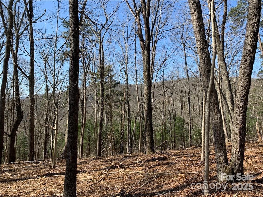228 Spivey Mountain Road 5 Property Photo 4