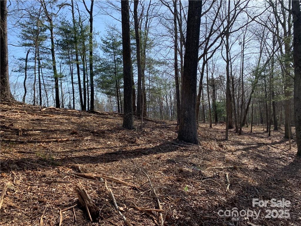 228 Spivey Mountain Road 5 Property Photo 12