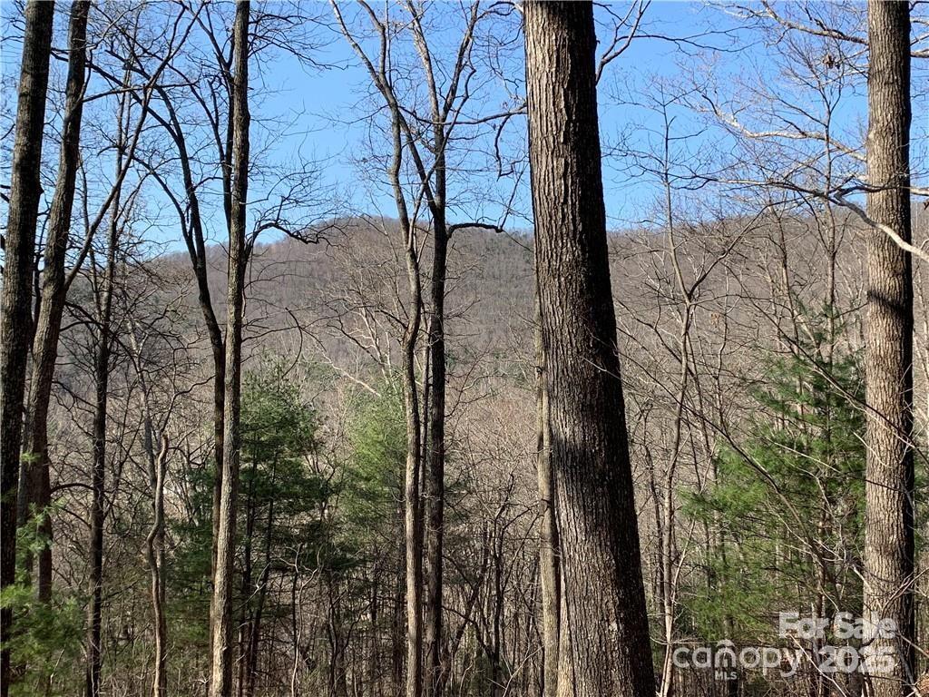 228 Spivey Mountain Road 5 Property Photo 14