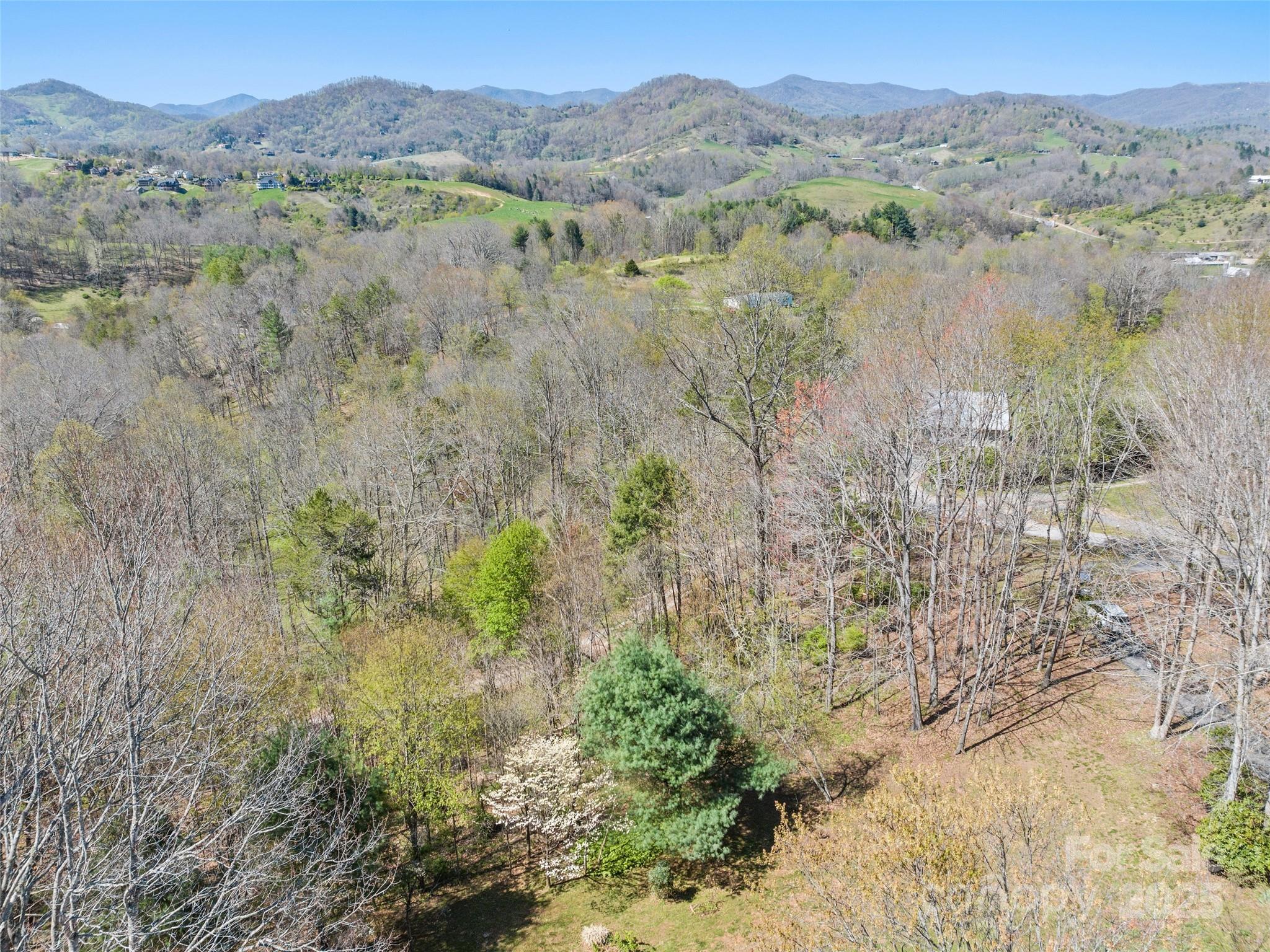 817 Ferguson Cove Loop Property Photo 5