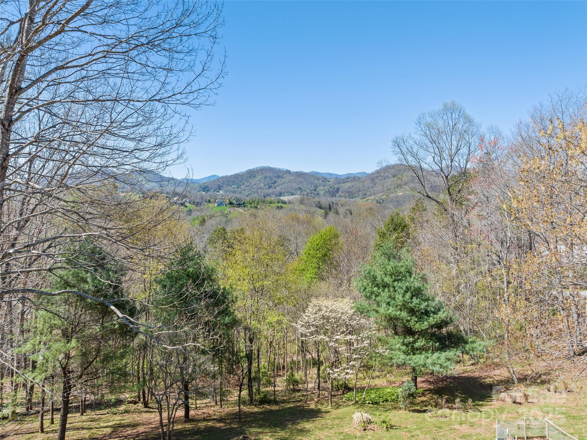 817 Ferguson Cove Loop Property Photo 7