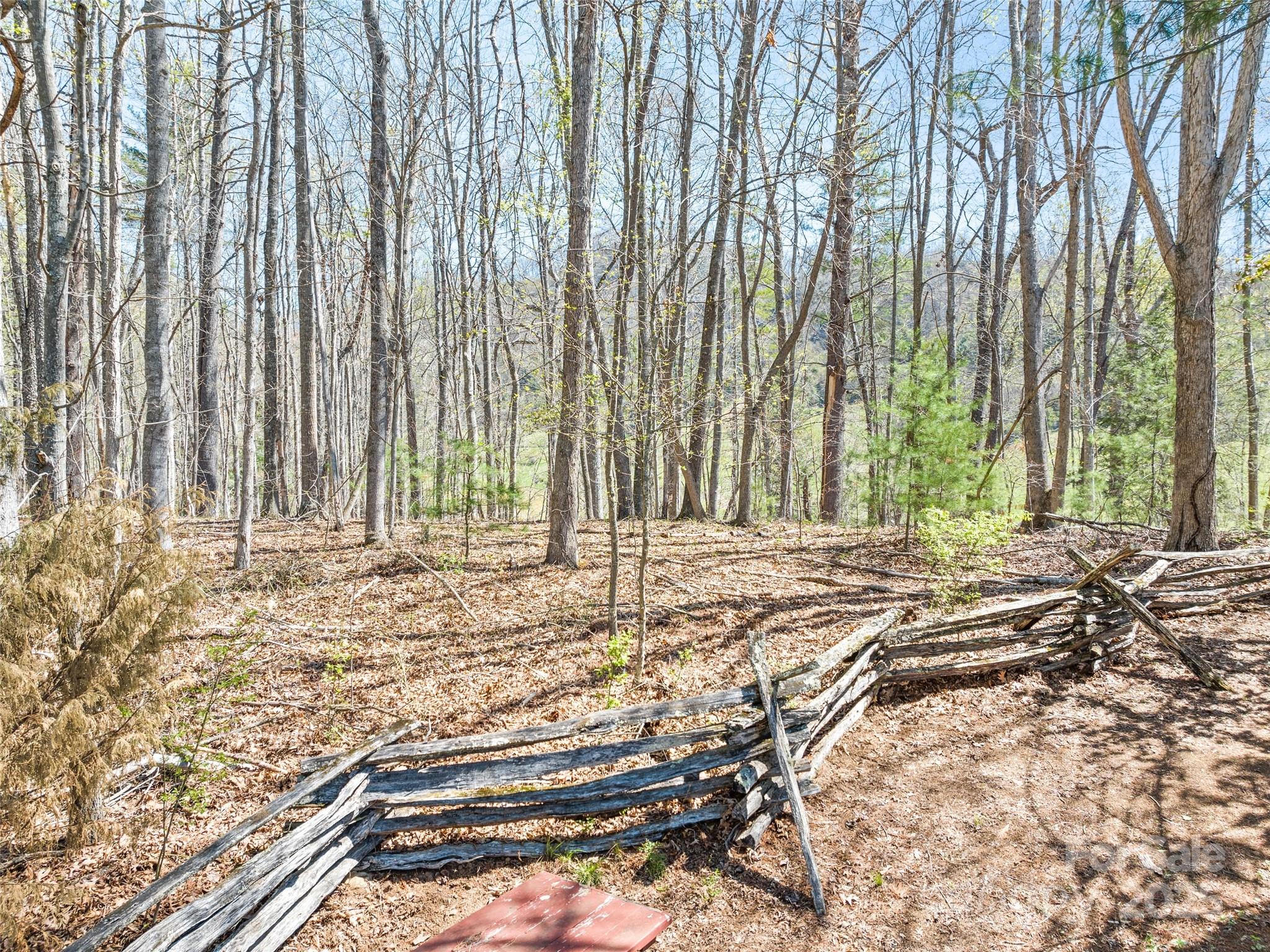 817 Ferguson Cove Loop Property Photo 25