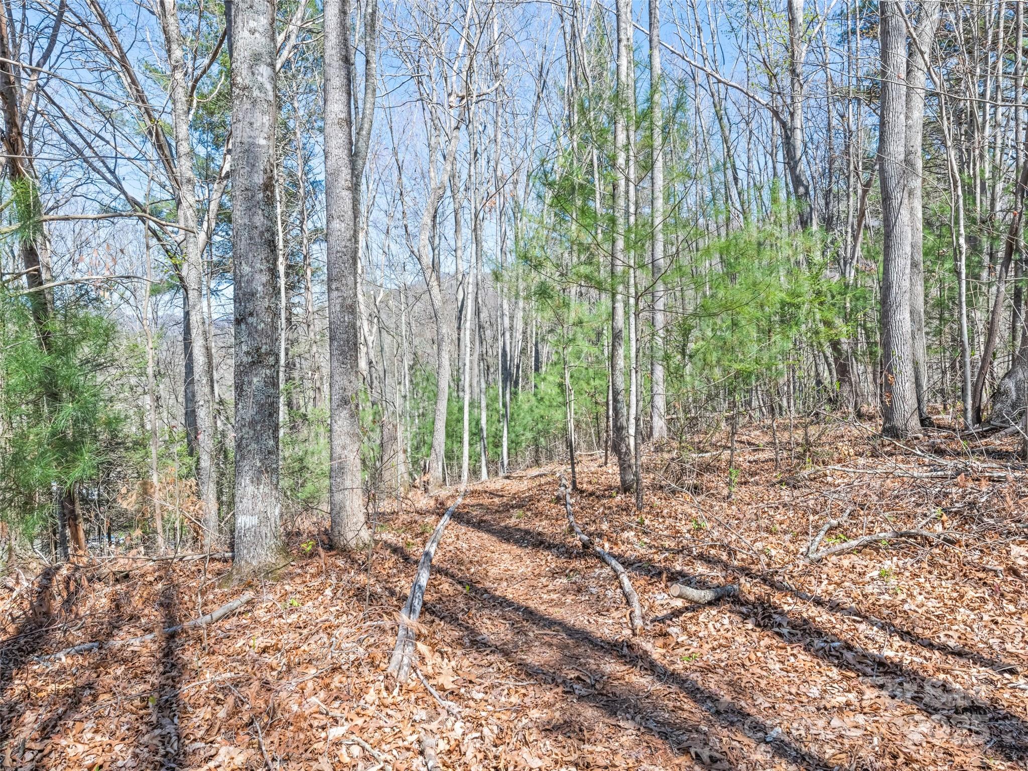 817 Ferguson Cove Loop Property Photo 26