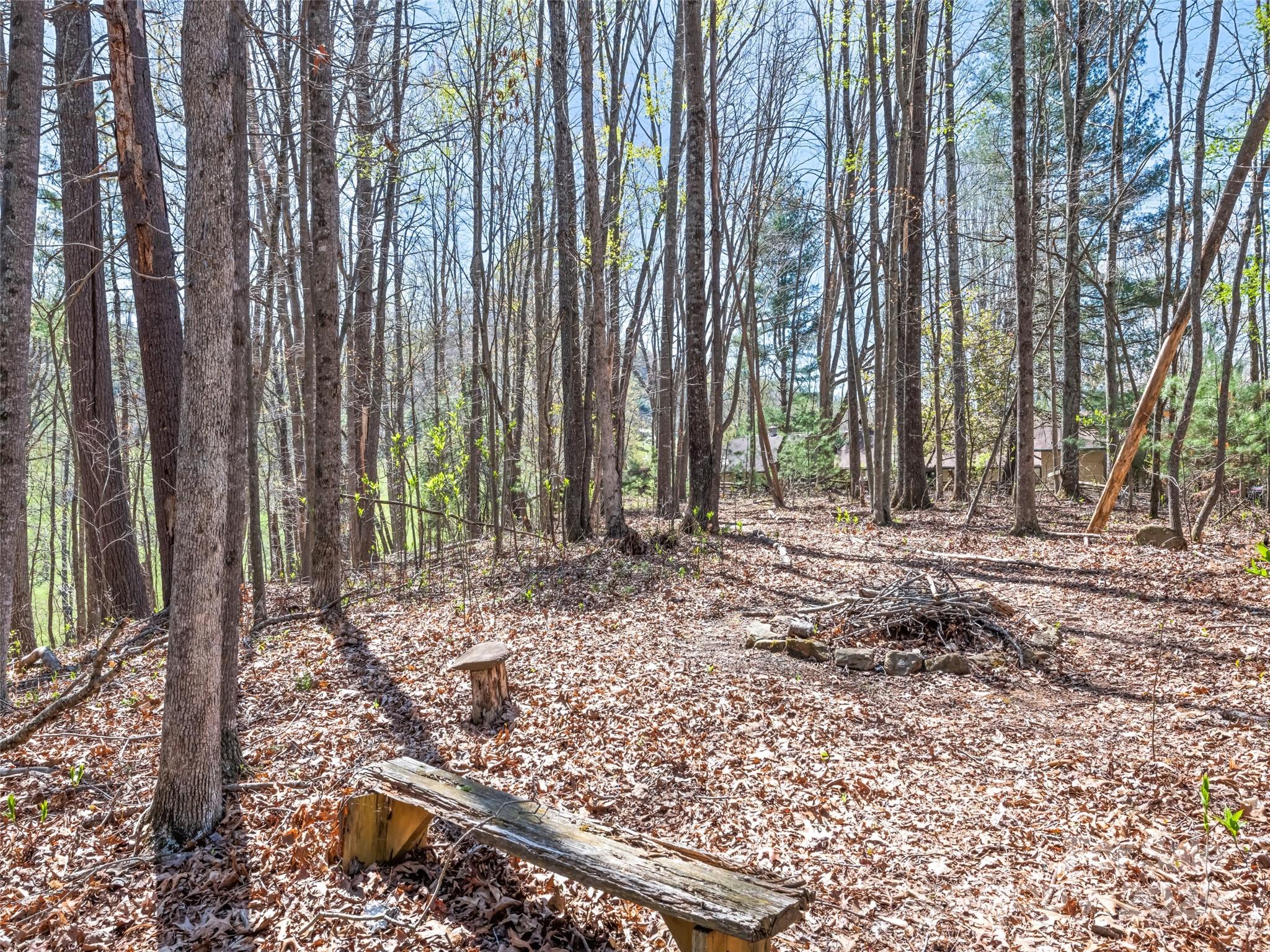 817 Ferguson Cove Loop Property Photo 27