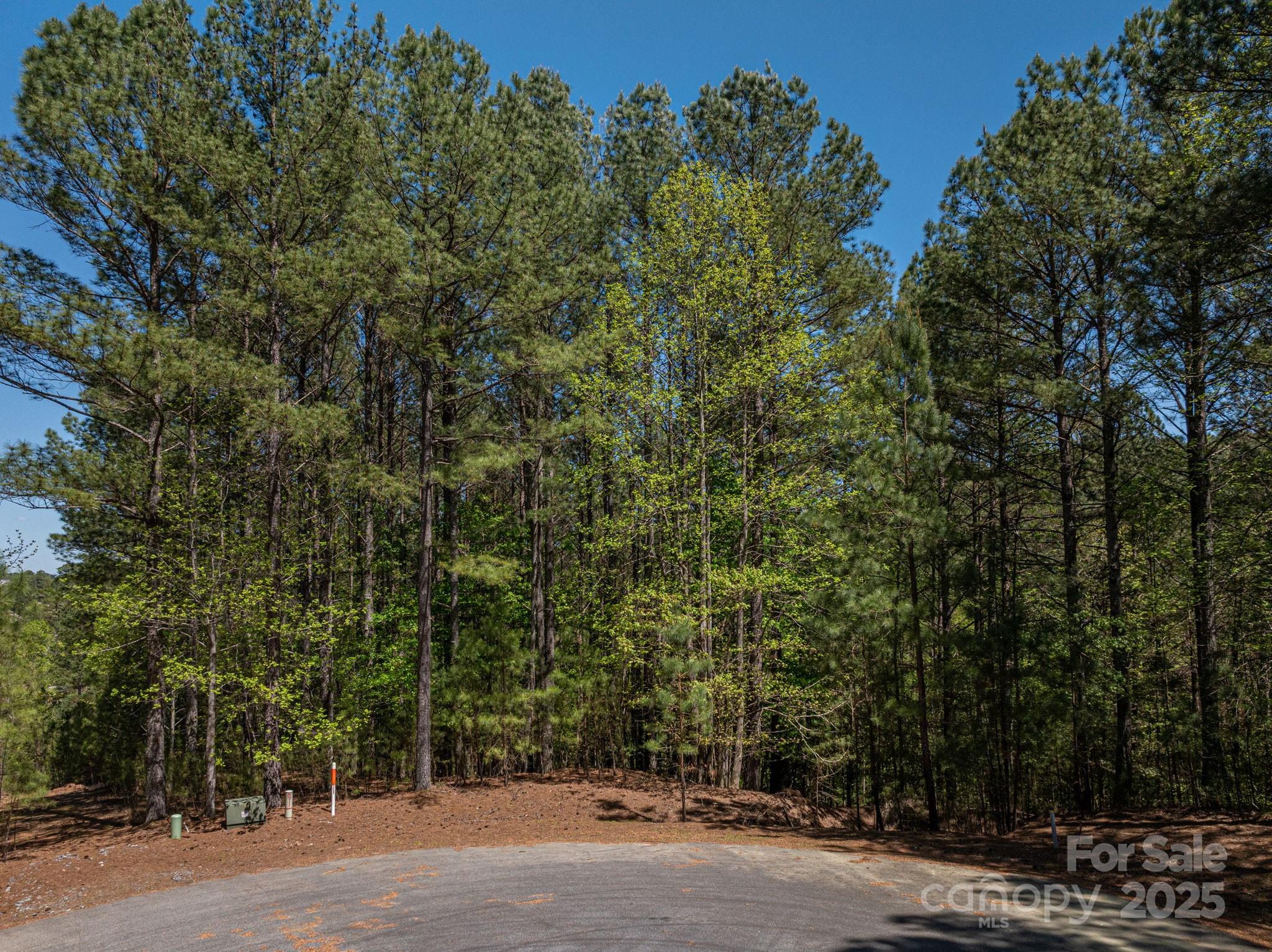 1236 Boardwalk Drive Property Photo 11